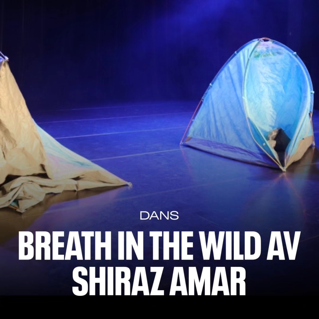 This Saturday! join us for a public show of 'Breath in the Wild' at Kulturhuset Stadsteatern Skärholmen. Final show for the Stockholm @dansistan
Tour.
💙Book your tickets now, link in bio <3
Photot by @instabrilz
