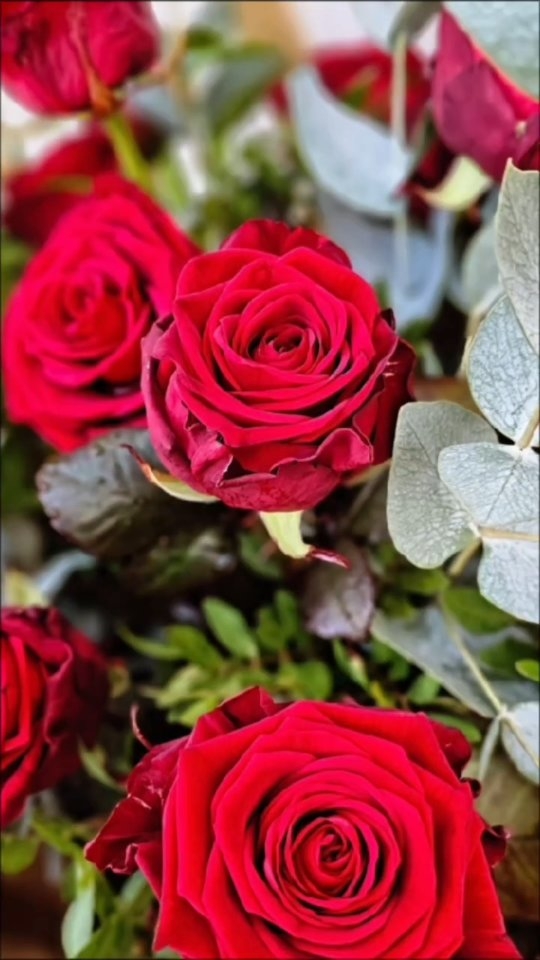 Valentine's Day 14th Feb
Valentine’s Day countdown activated 💘 14th Feb is coming fast — don’t be a last-minute hero, pre-order your flowers now 🌹😂
Click the link in the bio to order
#floristnearme #burntwood
#tamworth #valentinesday