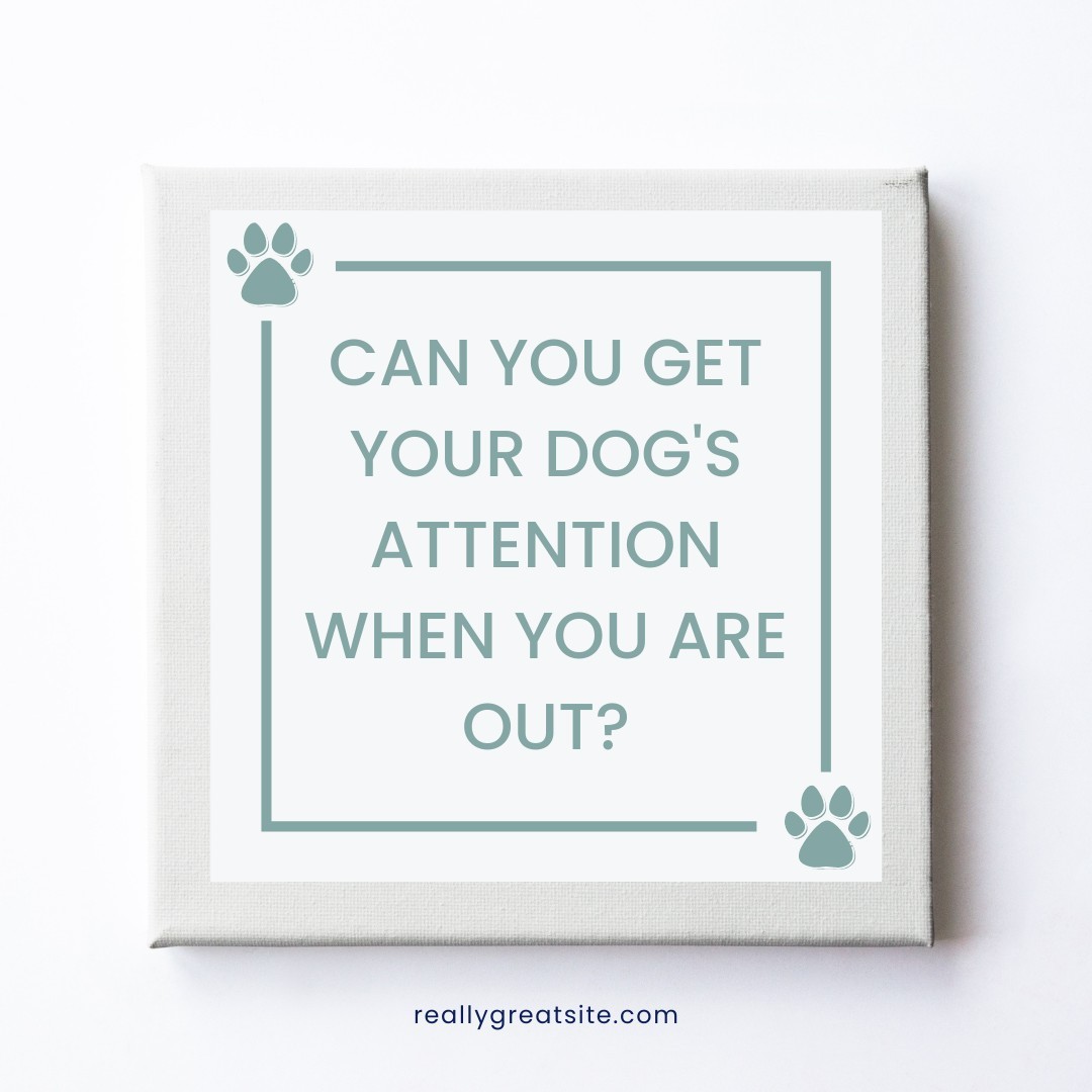 If you struggle to get your dogs attention when you leave the house, then an in-person class isn't the right place for your puppy or new dog to start learning.
We will teach you how to train your dog online at home where they can learn quicker and faster. We also teach you how to do socialisation, as well as other everyday skills you probably didn't even realise you needed.
Or if you would like to join our online puppy class starting on the 24th of May at 6.00pm for only £70.
https://www.ladypeasdogs.co.uk/offers/eAvbMkvW
#dog #dogs #puppy #puppies #puppylife #dogtraining #puppyclasses #ladypeasdogs #onlinedogtrainer