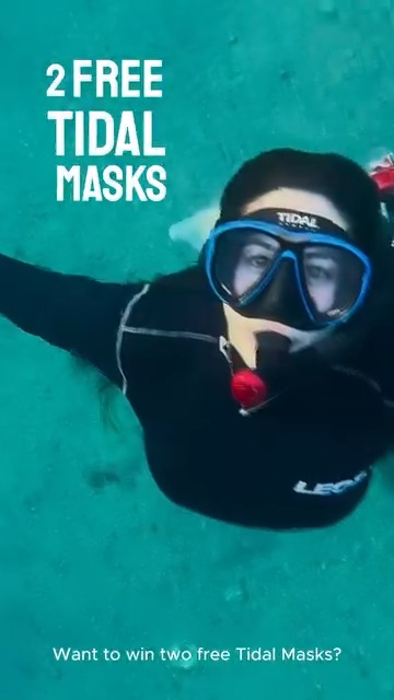 This Valentine’s Day, we’re giving 1 lucky winner + their dive buddy the chance to snag 2 FREE Tidal Masks & Snorkels—because every dive is better with a buddy! To enter:
✅Like this Post
✅Comment & tag your dive buddy (each tag = 1 entry!)
✅BONUS ENTRY: Share your favorite dive memory with your buddy in the comments for extra chances to win! The more you tag, the higher your chances!
⭐EXTRA BONUS: Share this post to your Story and tag us ProShot Case for 5 extra entries! (If your account is private, send us a screenshot!)
Winner announced February 13th. Stay tuned on our Instagram for updates! #ProShotCase #TidalMask #Underwater #AntiFogFilm #ValentinesDay #giveaway