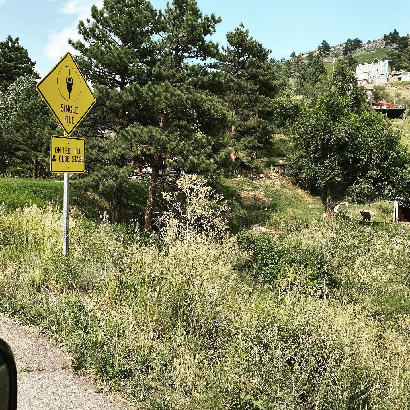 Please be aware of the #bike single file rules on #leehilldrive and #oldestageroad . #bouldercounty needs more awareness songs on both roads. #bikesbesafe