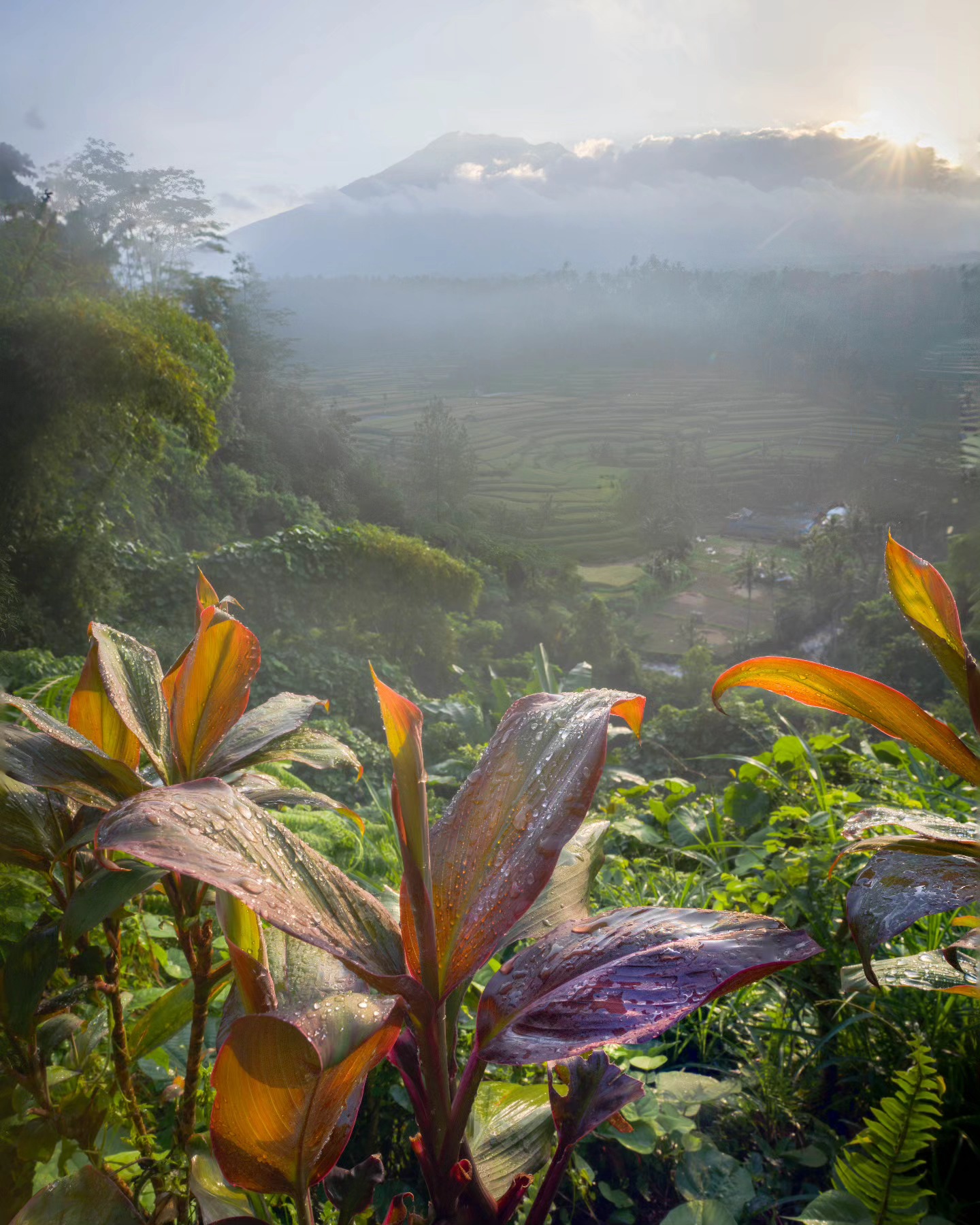 Batur Volcano obscured by clouds. I didn't wake up early for clouds.