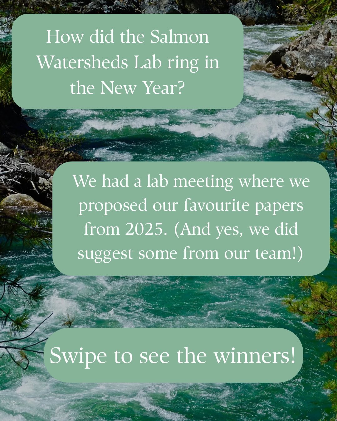 SWLs favourite papers from 2025!
A couple weeks ago we all shared our favourite papers from 2025 and voted for our favourites. Unsurprisingly they were both important studies on species conservation in a changing climate. Here are our top two:
“Indigenous Knowledge as a sole data source in habitat selection functions” by Gryba et al. (2025) - Iñupiat hunters in Alaska are showing us how Indigenous Knowledge can be just as valuable as satellite data for understanding where ringed seals live and breed. By working with scientists, their generations of observations were used to create a statistical model that can inform conservation decisions. Knowledge coproduction at its best!
“Anatomy of range contraction: Flow-phenology mismatches threaten salmonid fishes near their trailing edge” by Carlson et al. (2025) - California’s 2012-2016 drought taught us a harsh lesson. When winter rains came too late, salmon couldn’t reach their spawning grounds. While some populations were able to shift downstream, others crashed entirely. The timing of just a few storms determined which fish could and couldn’t access their spawning grounds.
Find both of these papers in the link on our bio!