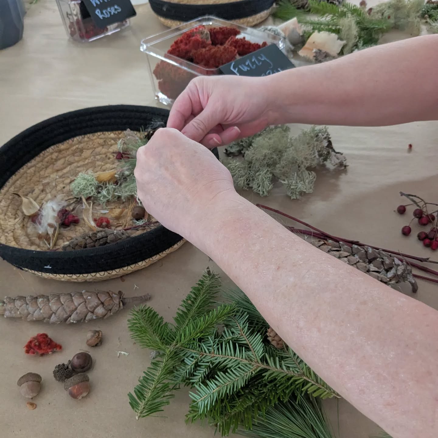 Thank you so much to the staff and residents at @dykelandlodge and @windsor_elmsvillage for a wonderful winter of #horticulturaltherapy - can't wait to see you in the spring ๐ฑ๐ท
Our 2025-2026 LTC programming is part of our Horticultural Therapy for Healthy Aging Program proudly funded by @mentalhealthns
Visit theplantspace.ca to register for free community healthy aging events.
.
.
.
#mentalhealthmatters #planttherapy #plantsmakepeoplehappy #therapeutichorticulture