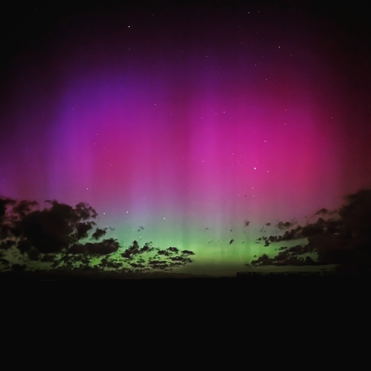 #auroraborealis #colorado #wyoming #night #summer #fyp #nightsky #pretty #rarebeauty #stars