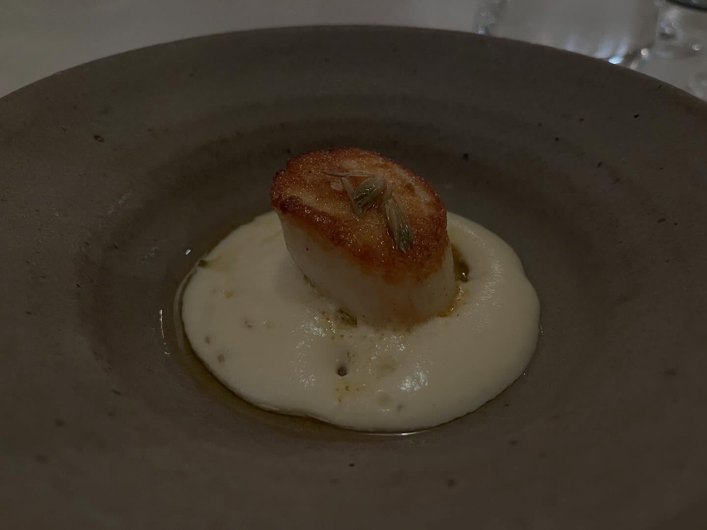 Dinner at Moda.