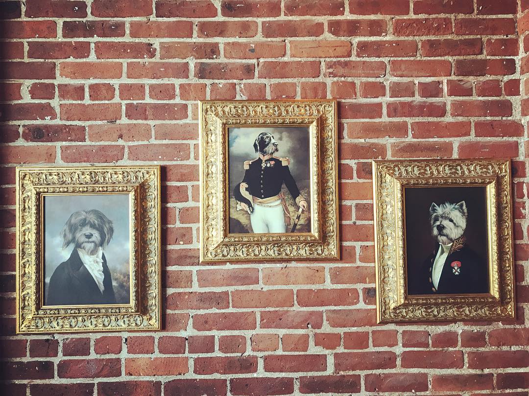 Our loyal companions are up ๐ Opening very soon at 371 4th street! Stay tuned ๐ฑ #pratobakery #freshbakedeveryday #cantucci #focacciasandwich #authenticitalian #tuscatradition #simonethebaker #newlocation #sameamazingfood