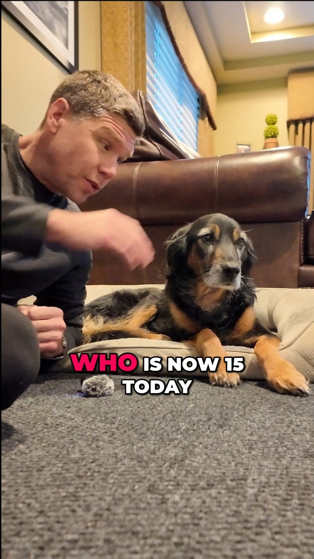 This is Nala. She is 15 years old today.
She is definitely an old lady but she is doing alright.
I want to celebrate her today on her birthday for not only being the best dog every, but for also being a big part of my creative process.
Lots of ideas came to me or were fleshed out while going on walks with Nala.
This year, we are down to about 1 block for the walk but I still love taking her our for them.
I love this pup.
#dogs #dogsofinstagram #creativity #chicago #elmhurstil #doglover