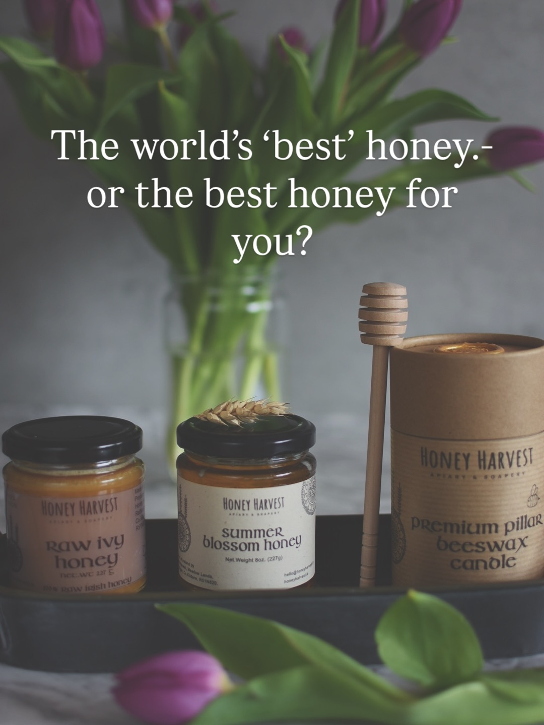 Try to imagine all the food shops in the world. How many of them…millions
Supermarkets. Health stores. Small local shops.
Now imagine that almost every one of them sells Manuka honey.
Not just one jar — 10, 15, even 20 jars per shop. Probably even more…
That’s an enormous amount of Manuka honey worldwide 🤔
Manuka comes from one plant that naturally grows only in New Zealand (and small parts of Australia).
Even where it grows, harvests change from season to season.
Some years are strong. Some years are weak. Same as here in Ireland.
So logically , it’s impossible for one small country to supply the entire world.
Yet Manuka honey never seems to disappear from the shelves.
And people spend huge money on it.
MG250. MG500. €50. €70.
But how sure are we that it’s actually real?
Local honey is the best honey for you, not some jar from the other side of the world.
I hope this made you stop and think for a moment… 🤔
What do you really have on the shelves in your local shops?
Is it real Manuka honey, or just a label?
.
.
.
#realfood #honeymyth #singleorgin #manukahoney #worldbesthoney