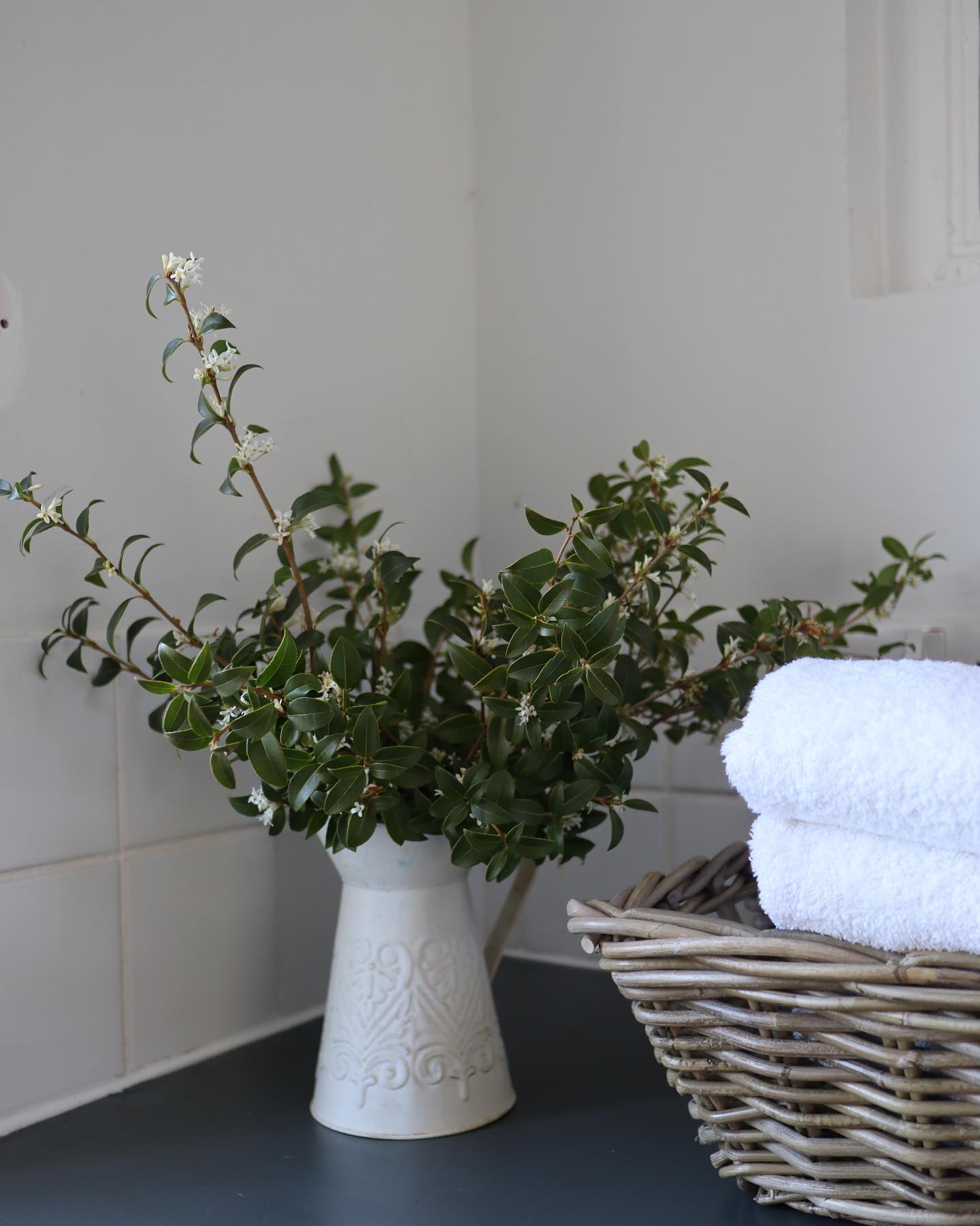 Blog Post Alert- I recently asked for blog post suggestions- areas that you struggle to organise and keep tidy and the utility room came up several times so I thought I would start there!
The new post is now live on my blog and I’d love to know your thoughts :)- Link to my website in my bio.
#wedeclutter #professionalorganiser #homeorganisation #decluttering #utilityroomorganisation #homesweethome #organisedhome #declutterchallenge #utilityroom #laundryroommakeover #blogpostalert