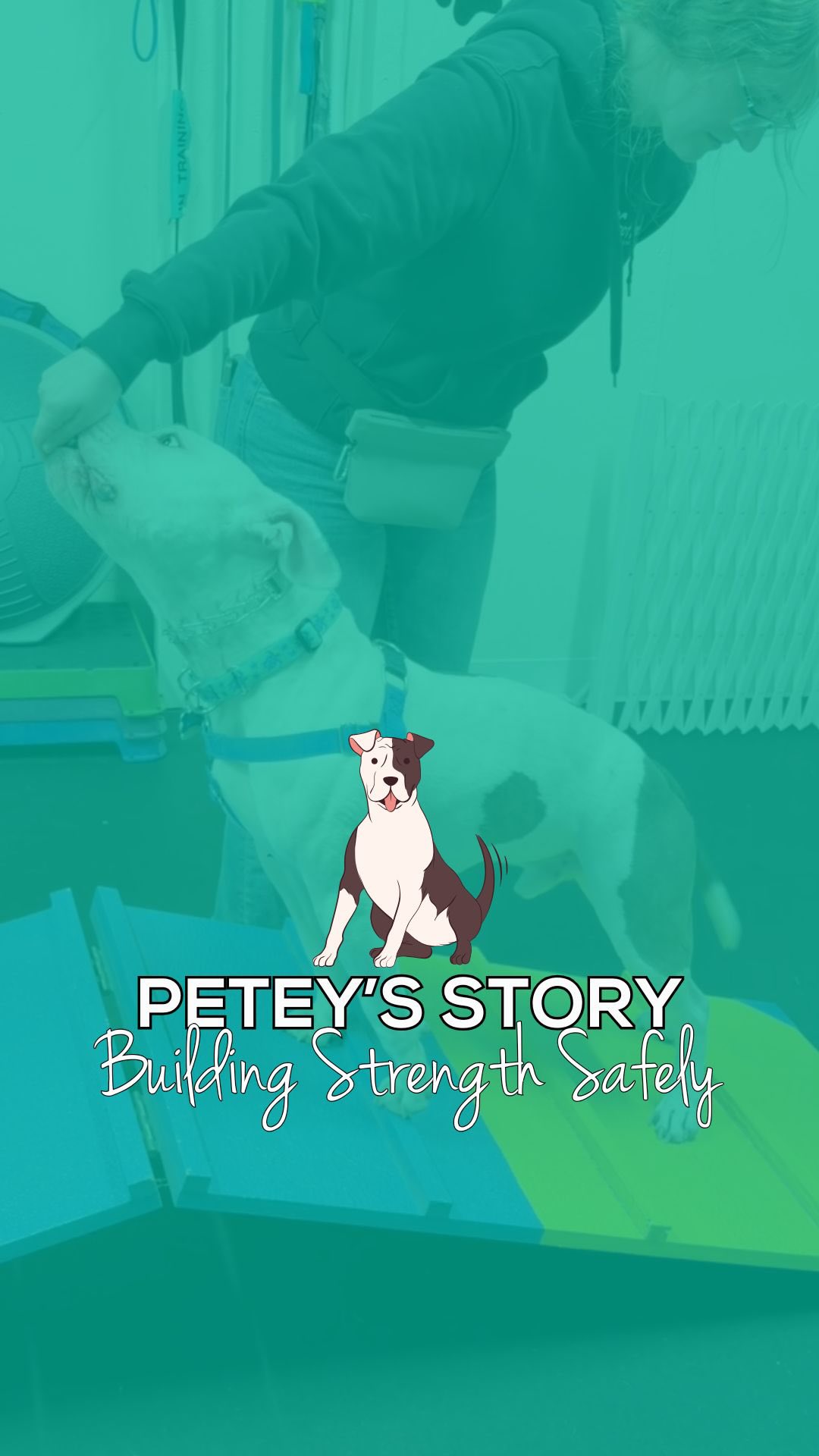 Meet Petey 🐾
Petey is a handsome pit bull with a rare spinal condition called Subarachnoid Diverticulum.
In dogs, Subarachnoid Diverticulum is a fluid-filled pocket within the spinal meninges that compresses the spinal cord. This compression can lead to chronic, progressive neurological dysfunction, weakness (paresis), and even incontinence.
In our videos, you may notice the arch in Petey’s back and the way he occasionally drags his paws—both are effects of his condition.
Because of this, Petey has several limitations in his daily life:
• No jumping
• No rough play
• Careful movement management
Even with these restrictions, Petey is truly one of the most fit dogs we have ever worked with.
Petey originally came to us for basic obedience and leash walking. Alongside those goals, we’ve also been focusing heavily on safe mobility and body awareness work, including:
• Bowing
• Walking over objects
• Weave poles
• Front paws on an oil pan (with pivots)
• BOSU ball work
• Engagement exercises
Petey is a perfect example that limitations do not define ability—and with the right structure and support, dogs like him can thrive 💙
dog training maine • canine mobility work • leash walking skills • confidence building dogs • behavior support • southern maine dog trainer #WoofWorksTraining #SouthernMaineDogs #pitbulls