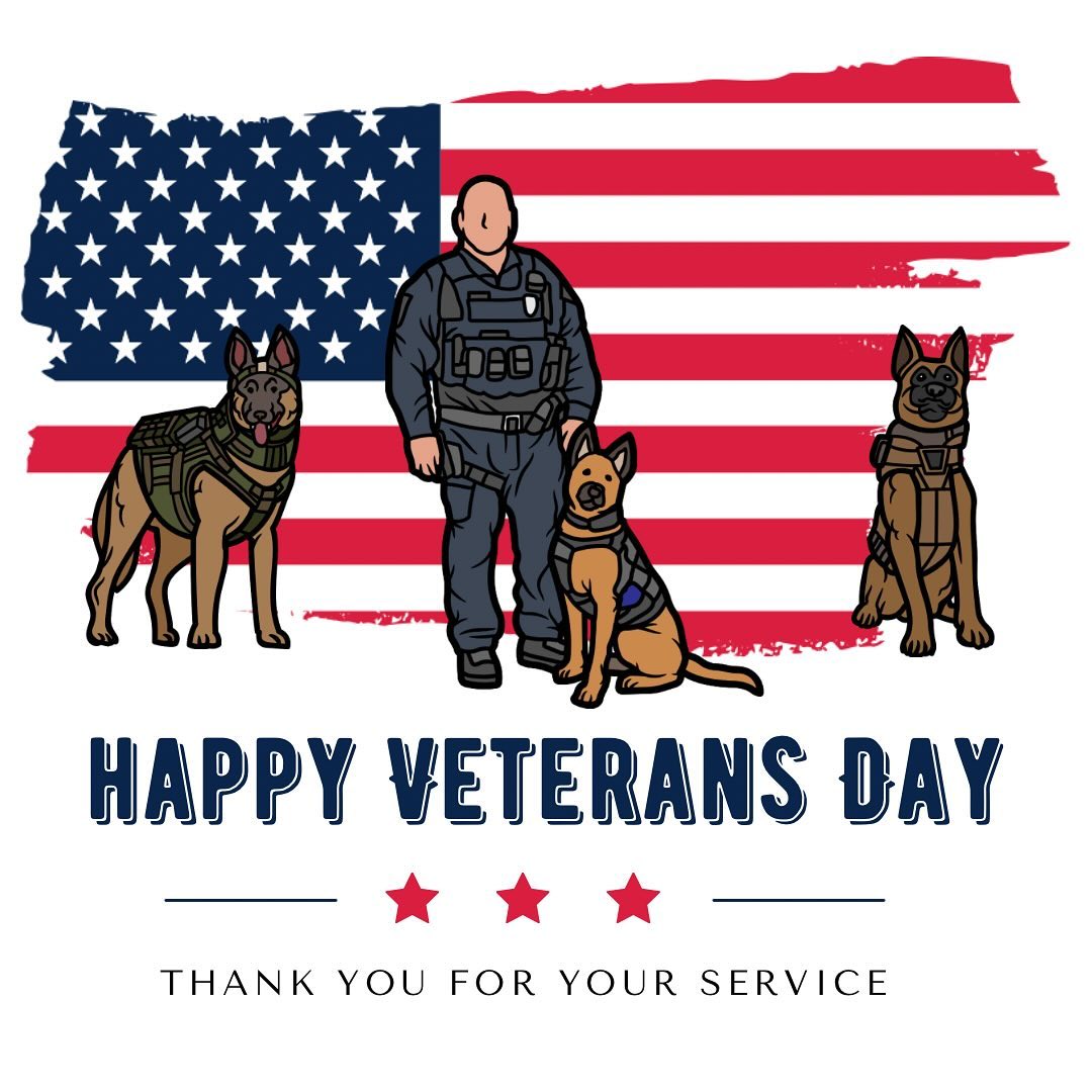 Honoring all the brave men and women who have served. Thank you for your courage and sacrifice. #veteransday🇺🇸