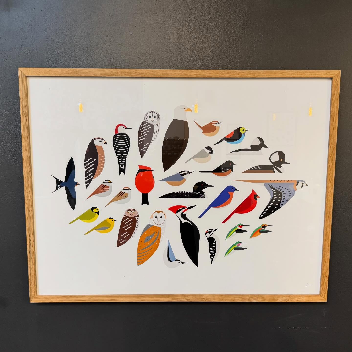 🚨CURRENT ARTIST🚨
Jia Spiggle
My work captures the essence of birds, distilling each species to its defining shapes, colors, and patterns. The process requires precision and patience-each element is carefully considered to convey the unique character of a bird.
Through this process, patterns and relationships between species emerge, creating a sense of connection and rhythm. Ultimately, my work showcases the individuality of each bird while uniting them within a shared visual language.
Website: spigglestudio.com
Instagram: @spigglestudio