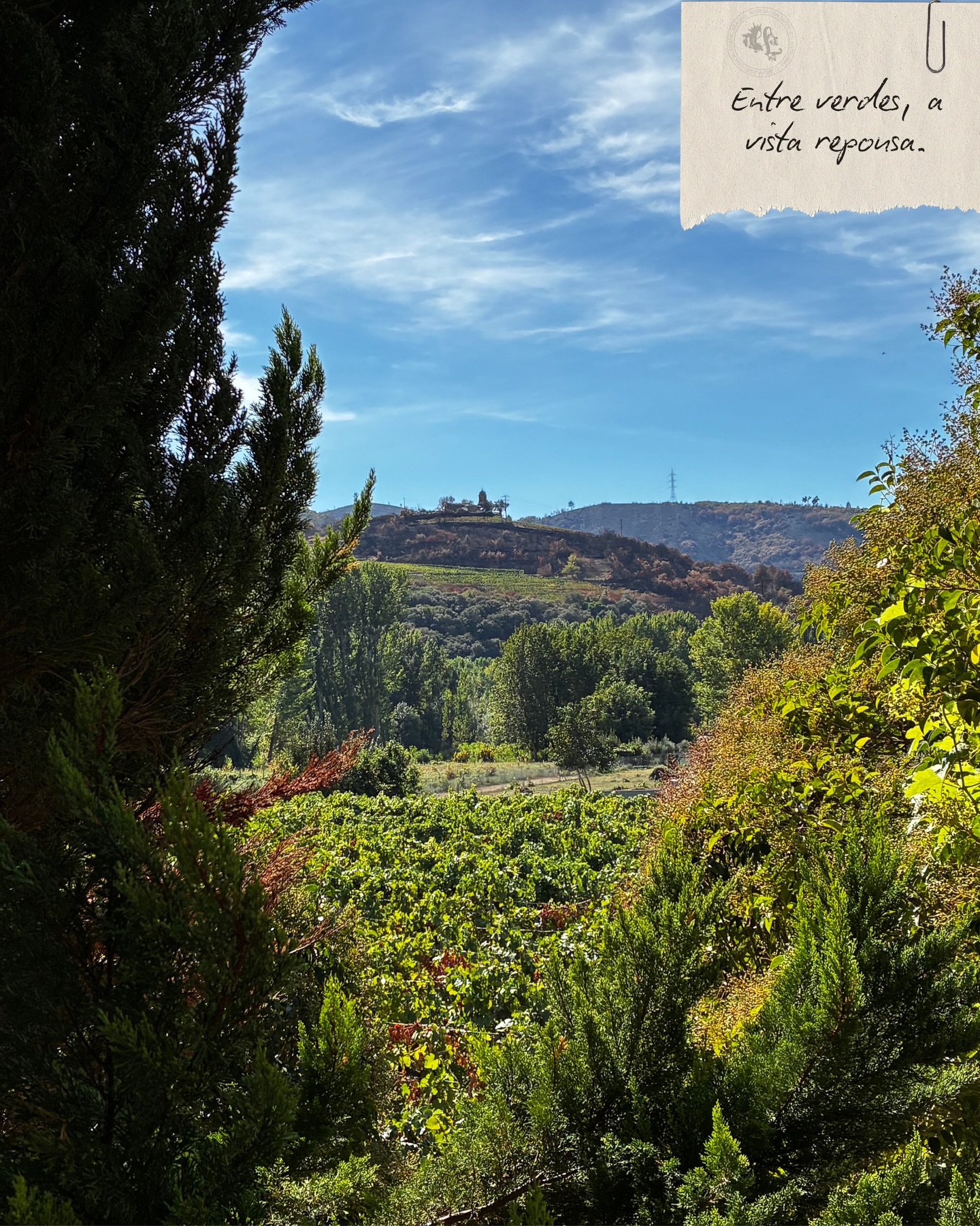 Nuestro alrededor 💆🏽💚
#Galicia #Spain #Vineyard #WineLovers