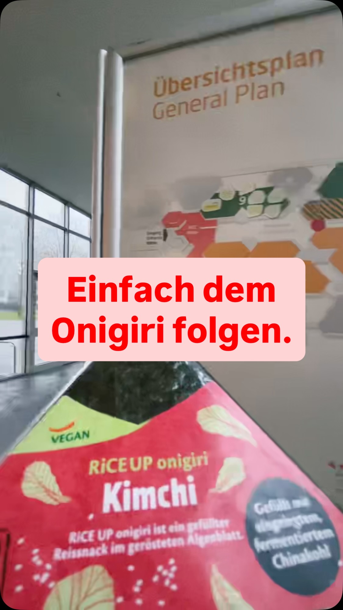 Na — hast du uns schon entdeckt!? #onigiri #riceuponigiri #riceup #organicfood #biofach