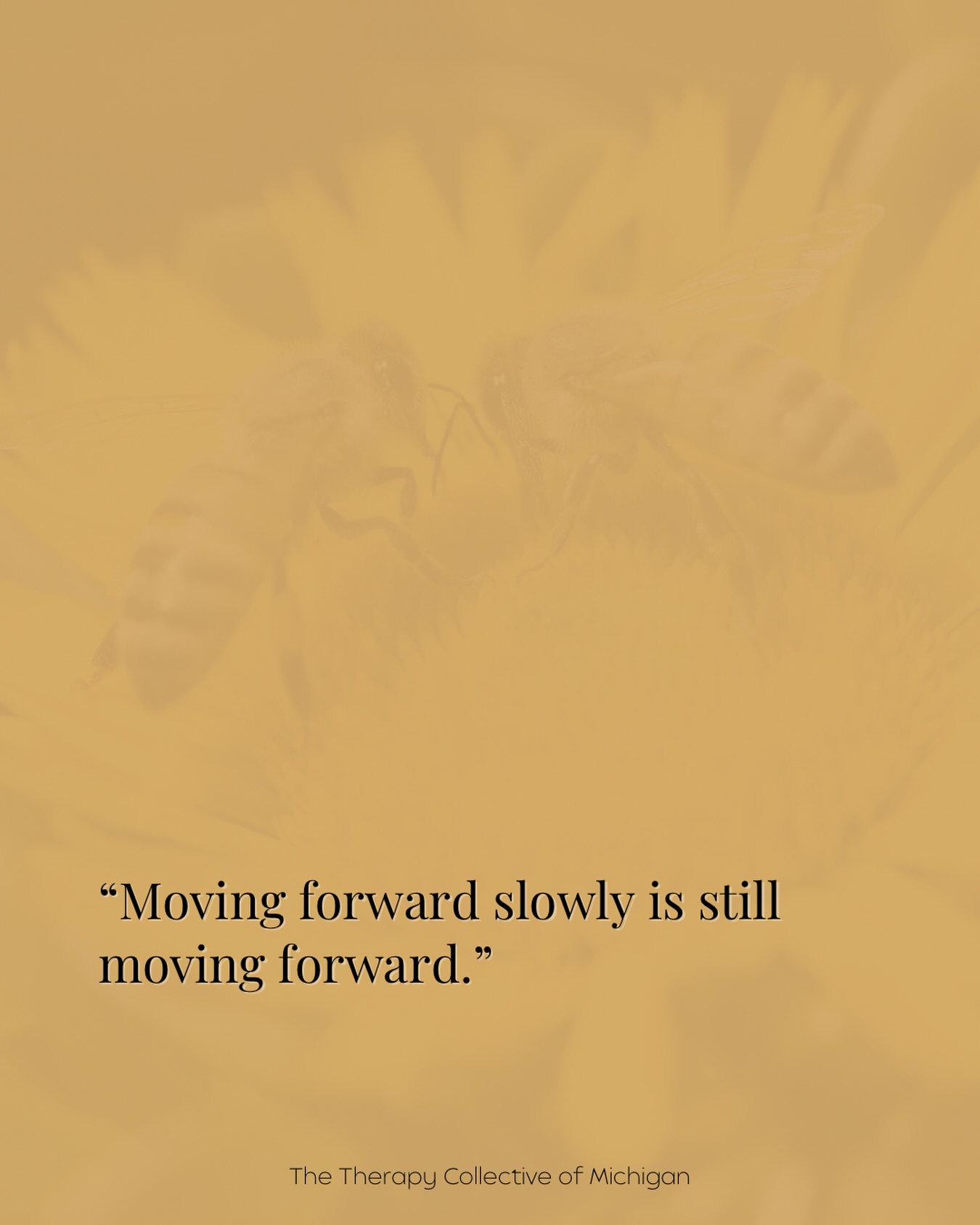 Progress doesn’t have to be loud, fast, or aesthetic to count. Sometimes it’s about tiny steps, quiet healing, and choosing not to give up on yourself. Even if all you did today was try again, that’s growth.
Slow is not stuck. Slow is still strength.
*
*
*
#quote #mentalhealthquote #progress #michigantherapy #therapy