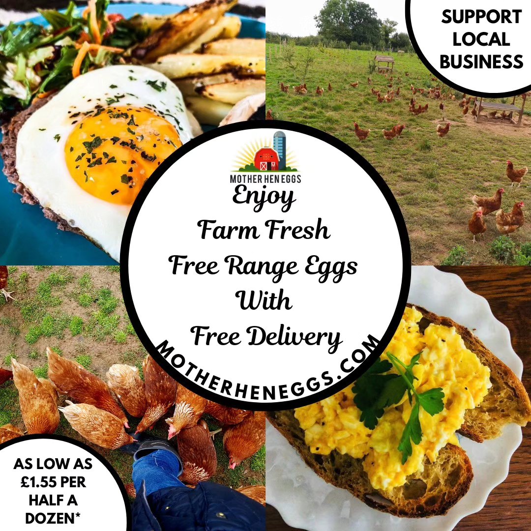 Farm Fresh Goodness Delivered to You, for FREE! 🥚🌟
Order your delicious farm fresh free range eggs directly ⬇️
www.motherheneggs.com/orderpage
⬇️ Prices ⬇️
1 tray of mixed sized eggs is £8.75 per tray (30 eggs - £1.75 per half a dozen) with FREE delivery!
2 tray of mixed sized eggs is £16.50 per tray (60 eggs - £1.65 per half a dozen) with FREE delivery!
4 trays of mixed sized eggs is £31.00 per tray (120 eggs - £1.55 per half a dozen) with FREE delivery!
If 30 eggs are too much to have in one go, we also deliver our eggs in half a dozen boxes too! 🥚
The hens are freely able to scratch around within the fields from dawn to dusk because when you crack into a Mother Hen Egg we want you to be 100% confident what your eating is 100% free range egg goodness! 🍳🐔
At Mother Hen Eggs, we're excited to offer you farm-fresh eggs at prices as low as £1.55 per half a dozen! The more you order, the more you save! 🥚🍳
🍳 Start Your Day Right! Whether you're whipping up a fluffy omelette, delicious scrambled eggs, or baking your favourite treats, Mother Hen Eggs will make every bite a memorable one.
🛒 Visit www.motherheneggs.com to place your order now! 🛒
*is based on ordering 4 trays of mixed sized eggs
Mother Hen Eggs - Where Freshness and Savings Come Together! 🐔🥚
#freedelivery #deliciouseggs #cardiff #Bridgend #newport #eggs #freerangeeggs #farmfresh #farmtofork #tastyeggs #newcustomer #goldenyolk #yolk #delivery #fresheggs #homedelivery #Subscribe #supportsmallbusiness2023 #motherheneggs
