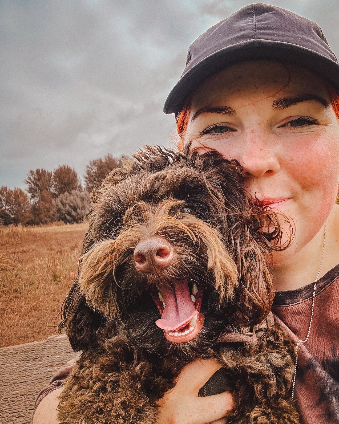 Autumnal feed incoming? 😏 Don’t mind if I dooo 🤩 It’s September after all 🤷🏼♀️.
.
.
.
.
#dog_features #dogsofinstaworld #dogs_of_instagram #dogoftheday #dogsofinstagram #dogstagram #doglover #dog #dogs #doggy #doggo #doge #doggies #doggie #cute #dogwalker #dogwalking #norwichdogwalker #dogwalkernorwich #norwich #norfolk #dogpark #schnoodle