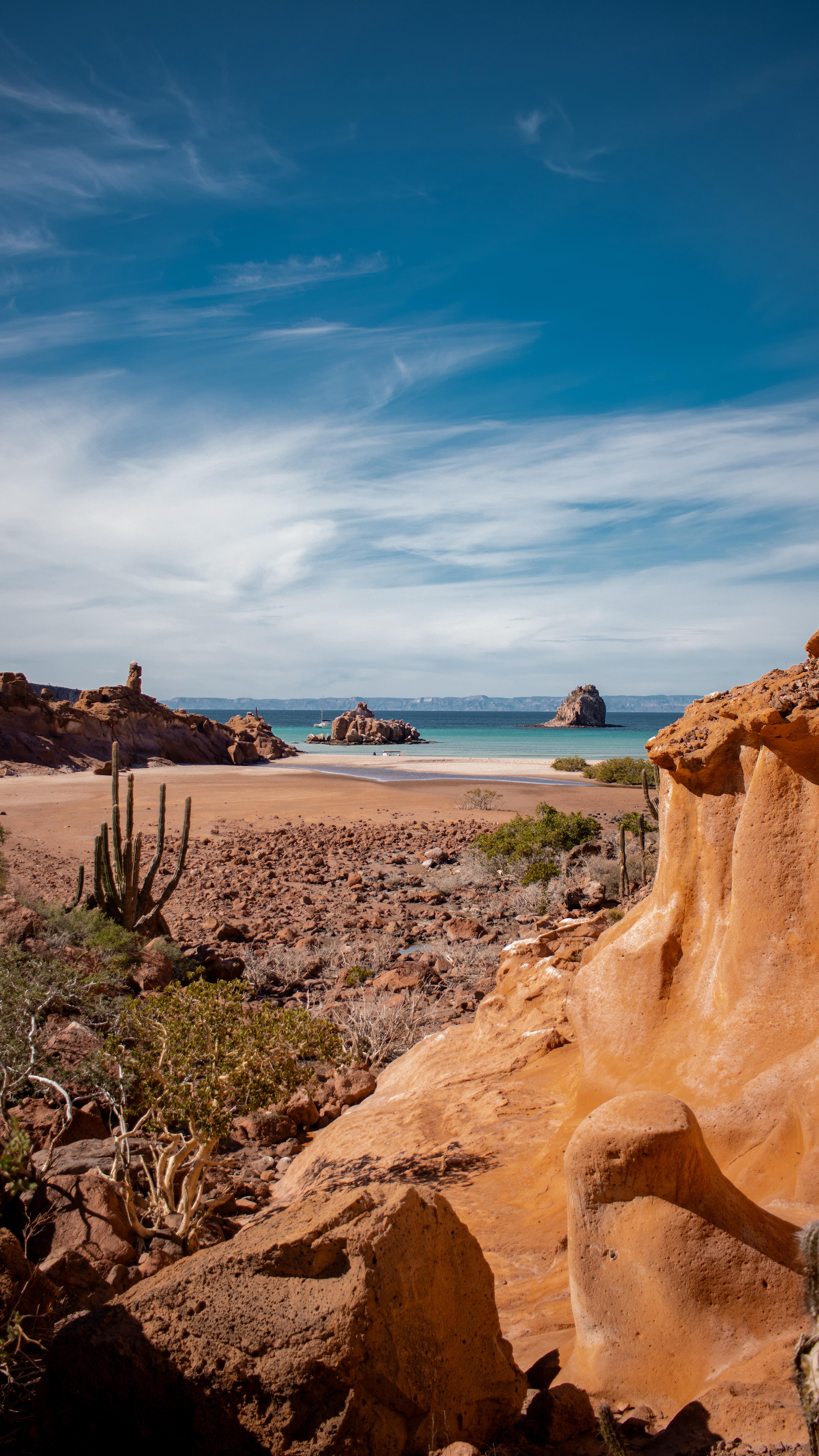 La riqueza marina no es el único tesoro en este archipiélago. ¿Ya conoces alguno de los senderos de Espíritu Santo?
Si quieres acompañarnos a explorarlos, no dudes en contactarnos.
#hiking #lapazbcs