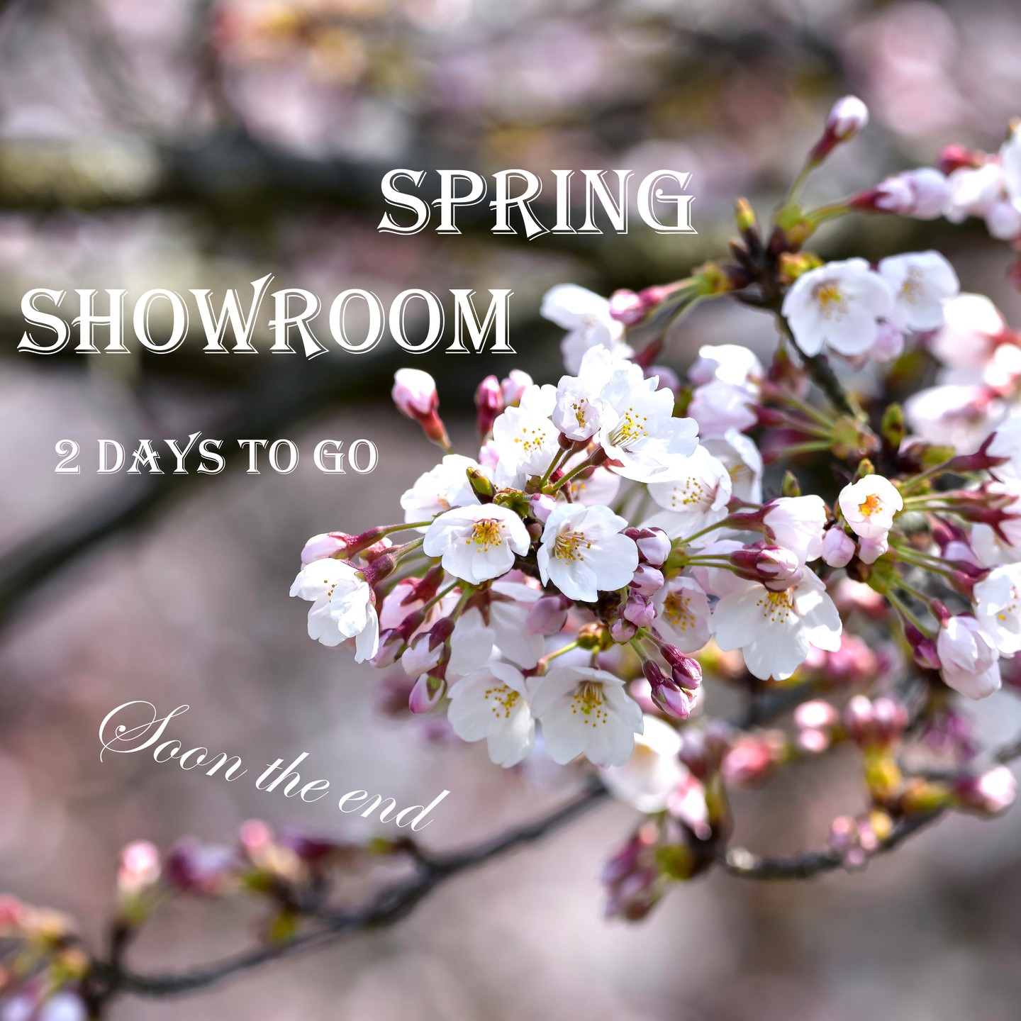 Be quick ! 🌺The Spring Showroom is almost finished… 💐
You have 2 days left to take advantage of exclusive promotions to discover the range at very interesting prices! Take advantage of additional offers at the end of the showroom! Offers valid only until April 26th!
Say Yes to Nature and only Nature & No to toxic synthetic petrochemical ingredients!
Petroleum Oil is not a care product !
➡️https://www.ankorstore.com/lift/naturare-33922
Faites vite ! 🌺 Le Showroom de Printemps est bientôt terminé… 💐
Il vous reste 2 jours pour profiter de promo exclusives afin de découvrir la gamme à prix très intéressants ! Bénéficiez d'offres supplémentaires de fin de showroom ! Offres valables uniquement jusqu'au 26 avril !
Dites Oui à la Nature et uniquement la Nature & Non aux ingrédients synthétiques toxiques pétrochimiques ! Le Pétrole n’est pas un produit de soin !
➡️https://www.ankorstore.com/lift/naturare-33922
#printemps #spring #springshowroom #b2b #b2bsales #produitsfrancais #produitduterroir #madeinfrance #soinsnaturels #naturalskincare #naturalskincareproducts #ankorstore_fr #spaproducts #spaproductsupplier #cosmeticsupplier #organicskincare #soindepeau #santeaunaturel #cosmetiquebiofrancaise #cosmetiquebio #ecofriendly #ecofriendlyproducts #marqueecoresponsable #marqueengagée #ankorstore #beauty #naturalsupplements #complementalimentairenaturel #naturare #naturarebio
