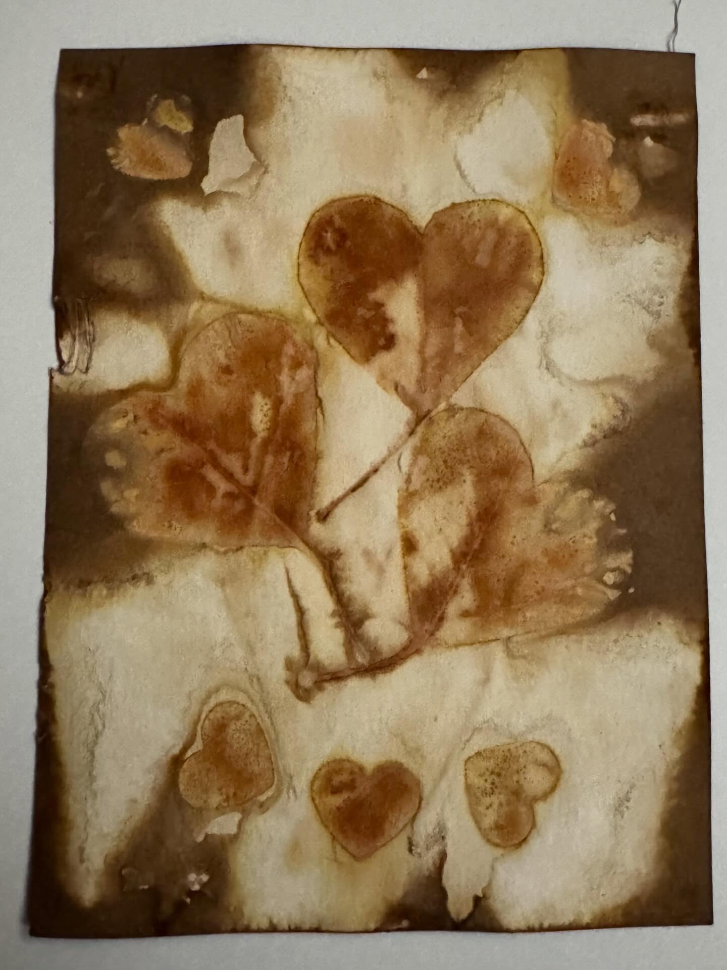 Let us love and be loved.
Eucalyptus hearts on watercolor paper.
*
*
*
*
*
*
*
#eucalytpus #ecoprinting #ecoprint #ecoprintonpaper