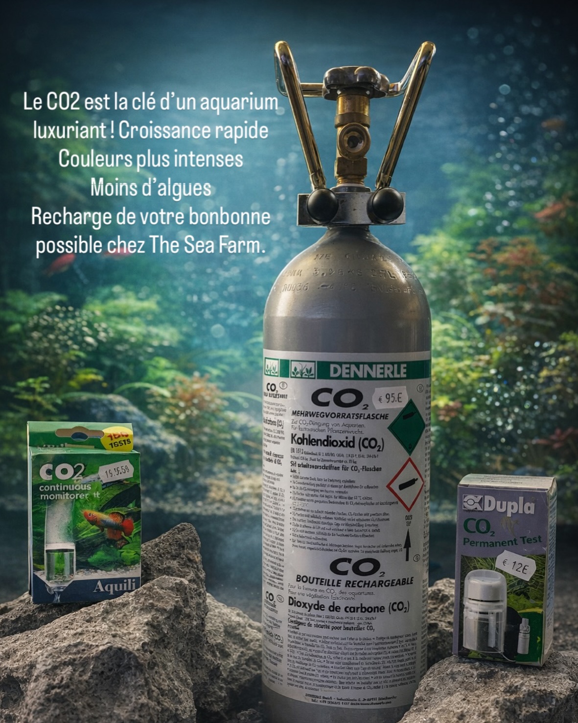 Nous proposons un nouveau service chez The Sea Farm : recharge de bonbonne de CO2. Contactez-nous : www.theseafarm.be