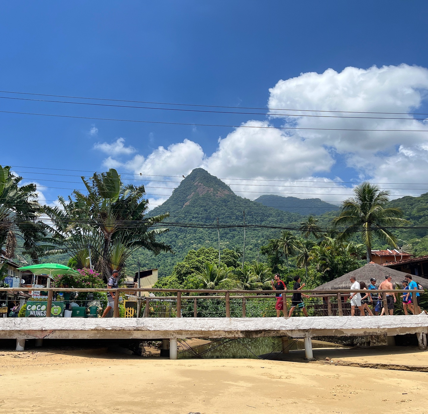 Looking for the best beaches in Ilha Grande, Brazil? Check out our new post to find out what praias can’t be missed. Link in bio 🏝️
#ilhagrande #brazil #angradosreis #island #bestbeaches #beaches #travelbrazil #vacation #visitsouthamerica #travel #travelitinerary #wanderlust #travelblogger #traveler #southamerica #picoftheday #travelphotography #travelpics #tourist #travelgram #photo #photography #photooftheday