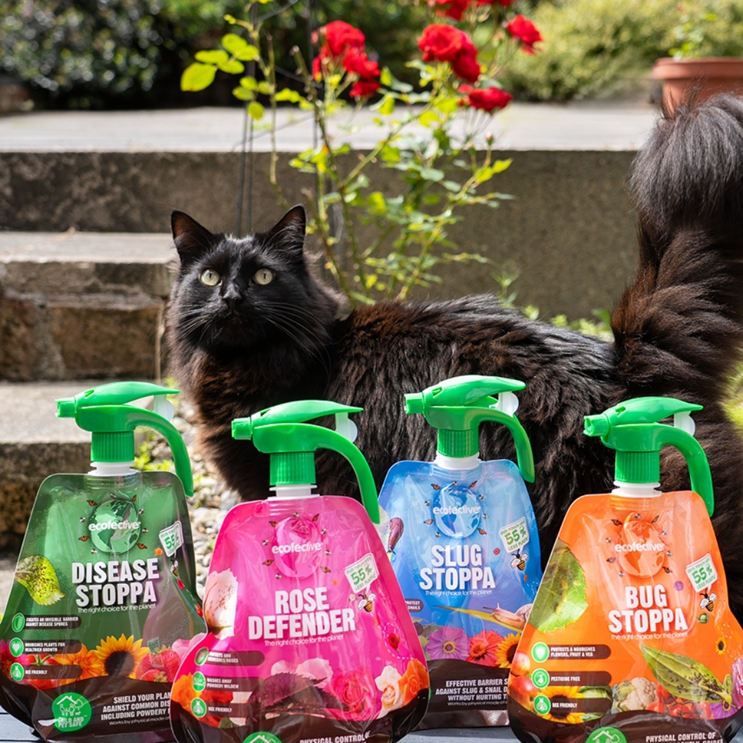 Love comes in many forms this Valentine’s Day ❤️🐾 Show your pets the same care every day with our child & pet safe range, designed to put them first! 🐈🐕
Check out our stockist finder to find your nearest retailer, or drop us a message and we’ll be happy to help! 💚
#ValentinesDay #PetLove #SafeProducts