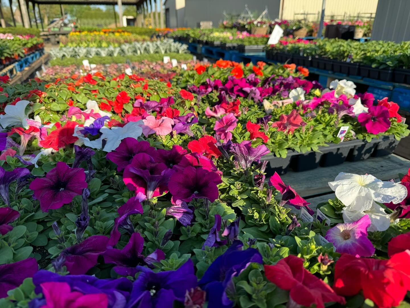 Garwood Farm Market NOW Open. 8:30-6:00 Daily. UPick opening around 6/1!