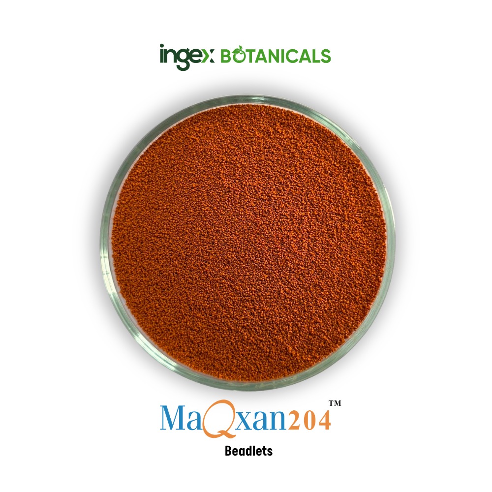 Beauty Meets Quality, Efficacy, Safety & Convenience
We're excited to introduce MaQxan 204, a clinically studied, high-purity Lutein & Zeaxanthin formula, now available in convenient Beadlets form!
Support your customers' eye health and cognitive function with a product that's backed by science and designed for optimal bioavailability.
Key Benefits:
- Clinically studied for eye health and cognitive support
- High-purity Lutein & Zeaxanthin formula
- Convenient Beadlet form for easy formulation
- Water-soluble Beadlets available for enhanced flexibility
Elevate your products with MaQxan 204 - where beauty meets quality, efficacy, safety, and convenience. Let's connect to learn more!
enquiry@ingexbotanicals.com
www.ingexbotanicals.com