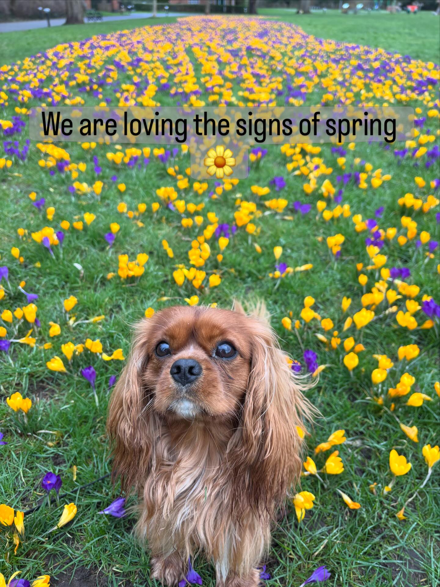 Loving this warmer drier weather 😊
Can almost smell spring around the corner 🌻
