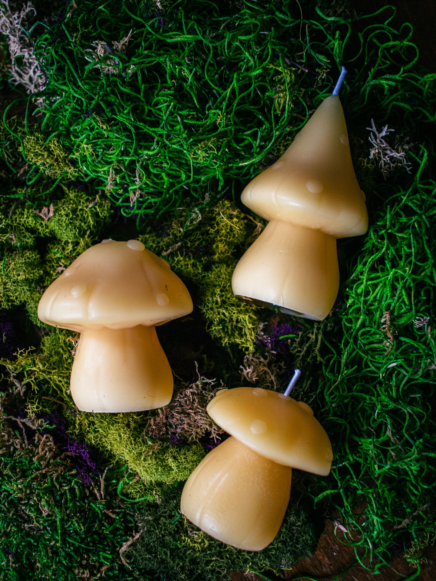 ✨ Storybound Spotlight ✨
This week we’re featuring our enchanting Mushroom Candle Set! Three beautifully crafted candles inspired by the magic and mystery of the forest floor. Each one captures the whimsy of different mushrooms, bringing a touch of woodland wonder and cozy flow to your space.
Perfect for nature lovers that want to add a little magic to their everyday. 🍄
#forestmagic #mushroomcandle #cozyenchantment #storyboundmagic #storyboundapothecarium