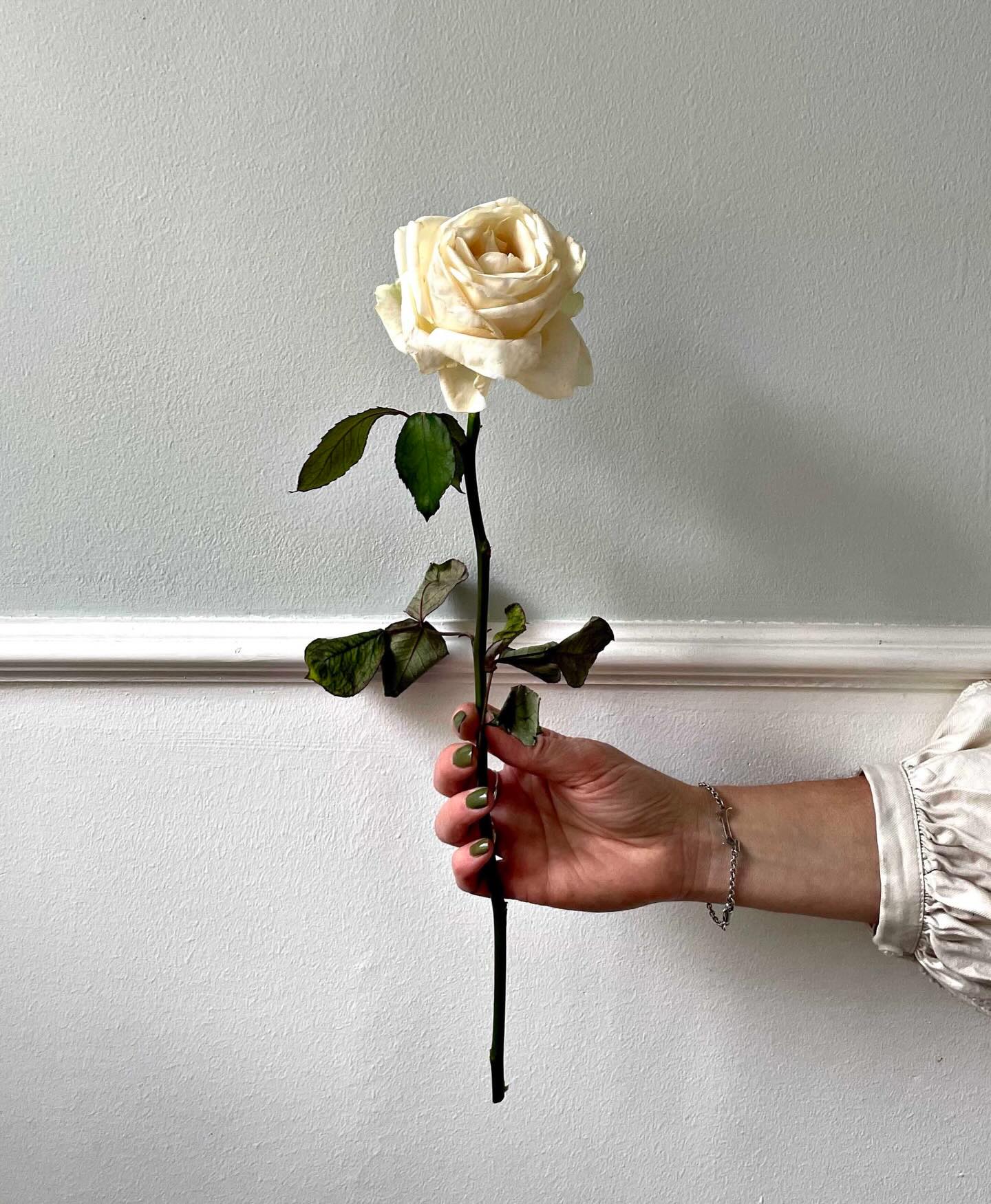 Att begrava en vän.
När vi startade vår byrå tänkte vi inte riktigt på att våra vänner skulle anlita oss – och ännu mindre tänkte vi att vi skulle få begrava våra vänner.
Det har hänt flera gånger nu. Vänner i olika åldrar.
Det är både svårt och smärtsamt, men samtidigt väldigt fint att kunna bidra i en så svår stund.
Häromsistens planerade vi en väns begravning när han fortfarande var i livet. Det var oerhört gripande att få vara med och verkställa alla hans önskningar. Helt otroligt faktiskt. 🤍
Vilket jobb vi har …