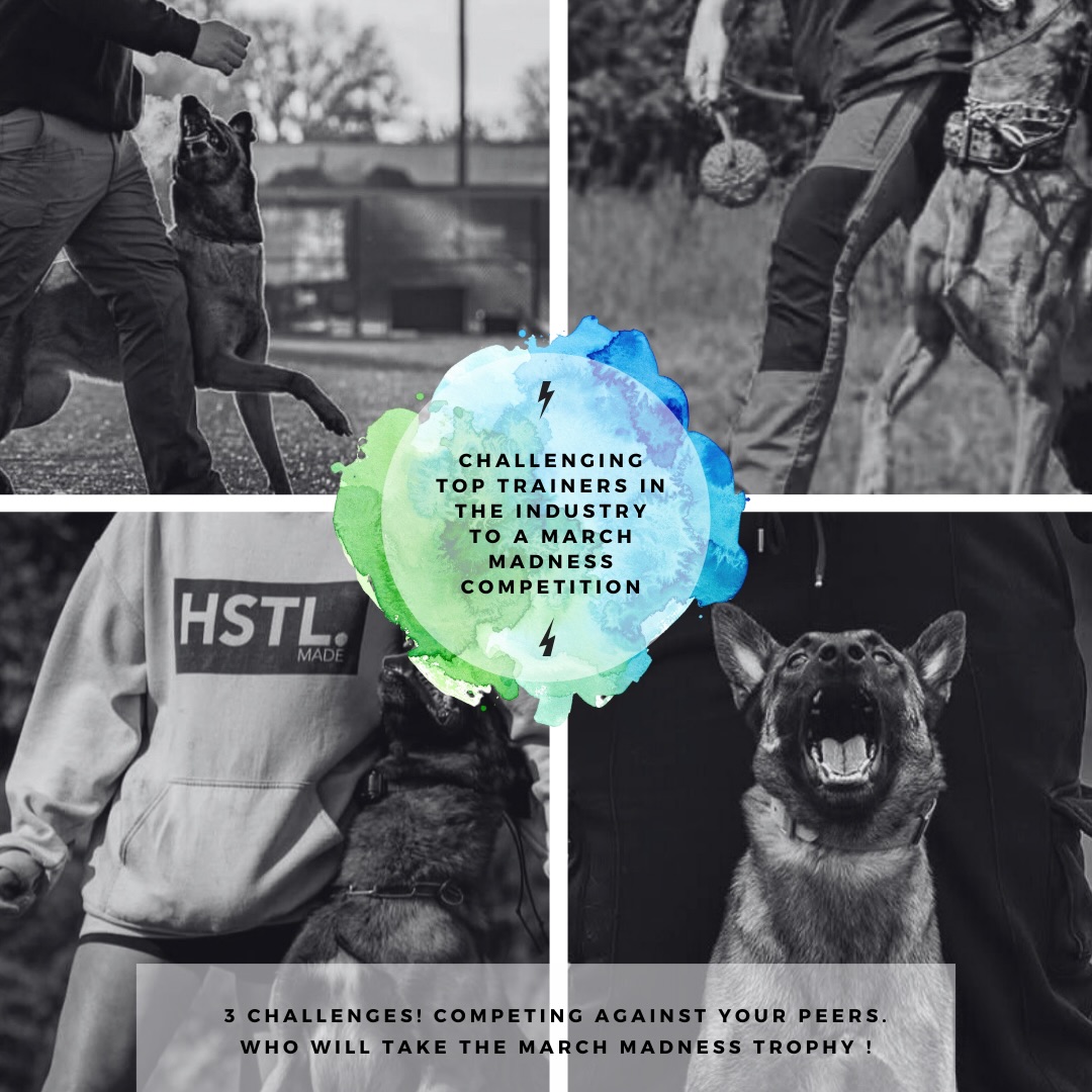 THE BRACKET IS SET.
The official matchups for the 5th Annual Grassroots K9 March Madness – Dog Trainer Edition are here.
This is where skill meets strategy. Precision meets creativity. Trainer vs. trainer.
Each week competitors will go head-to-head, posting their videos by Thursday at 8 PM EST. Voting opens every Friday at 8 PM EST on our Instagram stories and runs for 24 hours. Winners advance strictly by public vote.
Study the bracket. Pick your favorites. Get ready to vote.
Round 1 videos drop March 5th.
Let the battles begin.