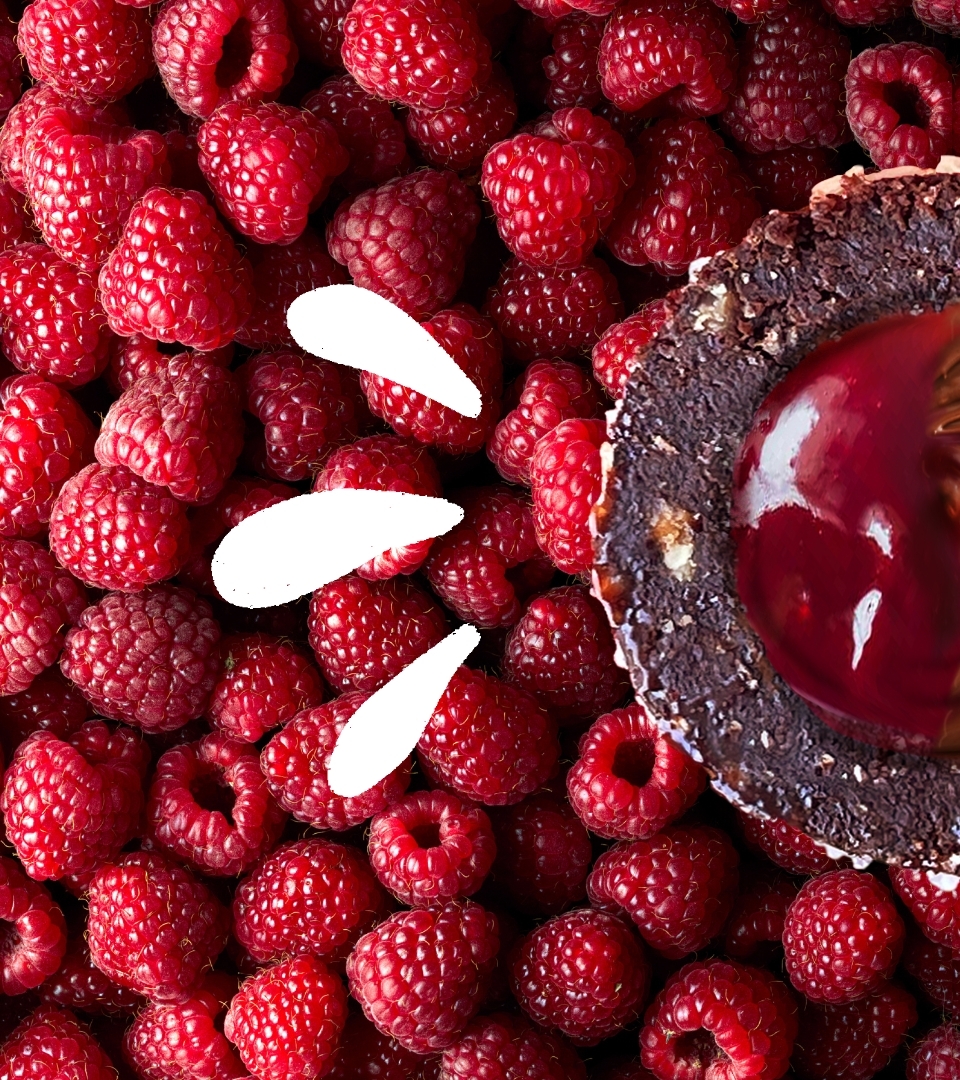 Who doesn't love Raspberries???? Your taste buds will be berry berry happy when they meet Frooze RASPBERRY DARK CHOC! 🍫💗
Healthy indulgence with doubly delicious fillings of fruit-sweetened raspberry jam and our own dark choc sauce! Wrap these up in a chocolate-y shell of dates, peanuts and coconut and you have a gift from the heavens!🤩
.
.
Frooze Balls
Funny Name
Serious Plant Power
.
.
#energyballs #energybites #energysnacks #fuelsnacks #snacking #healthysnack #healthysnacking #rebrand #groceryhaul #lunchboxsnacks #officesnacks #workoutsnack #workoutfuel #plantpowered #plantbased #vegan #glutenfreesnacks #zerojunk #froozeballs #froozeballsanz