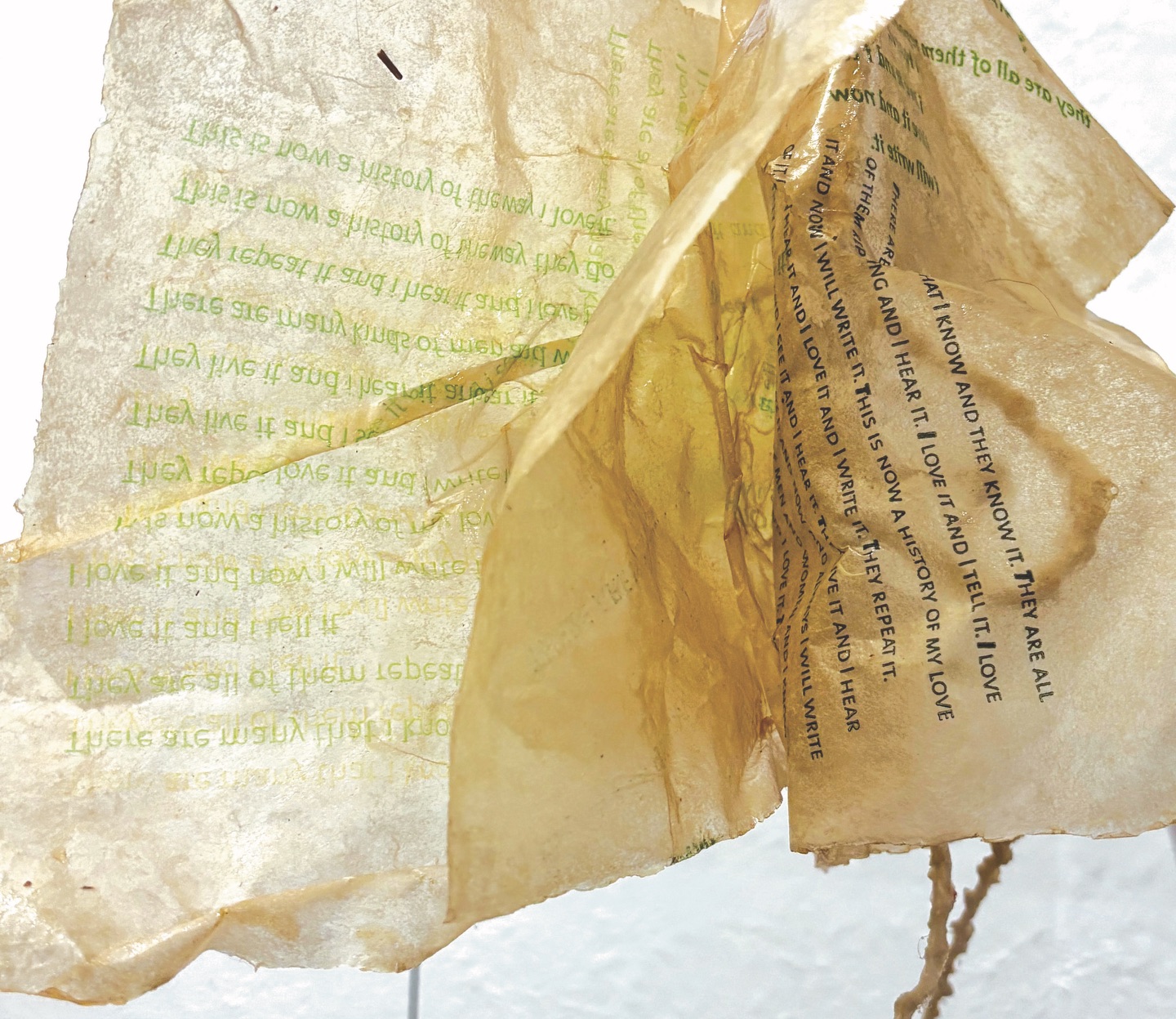 Looking at Leaf Love, I keep returning to the way the work disrupts traditional reading, with pages serving not as containers for text but as the text itself. The material is pierced, misshapen, deconstructed, and stitched back together—much like the ways we mend our emotional wounds while the body remembers what caused them.
For me, Deborah Barnett’s alternative book objects bear marks of pressure, care, and time, reflecting what it means to hold experience rather than simply pass through it.
Leaf Love opens as a one-person exhibition by Deborah Barnett at @183gallery on April 17. Stay tuned — more details coming soon.