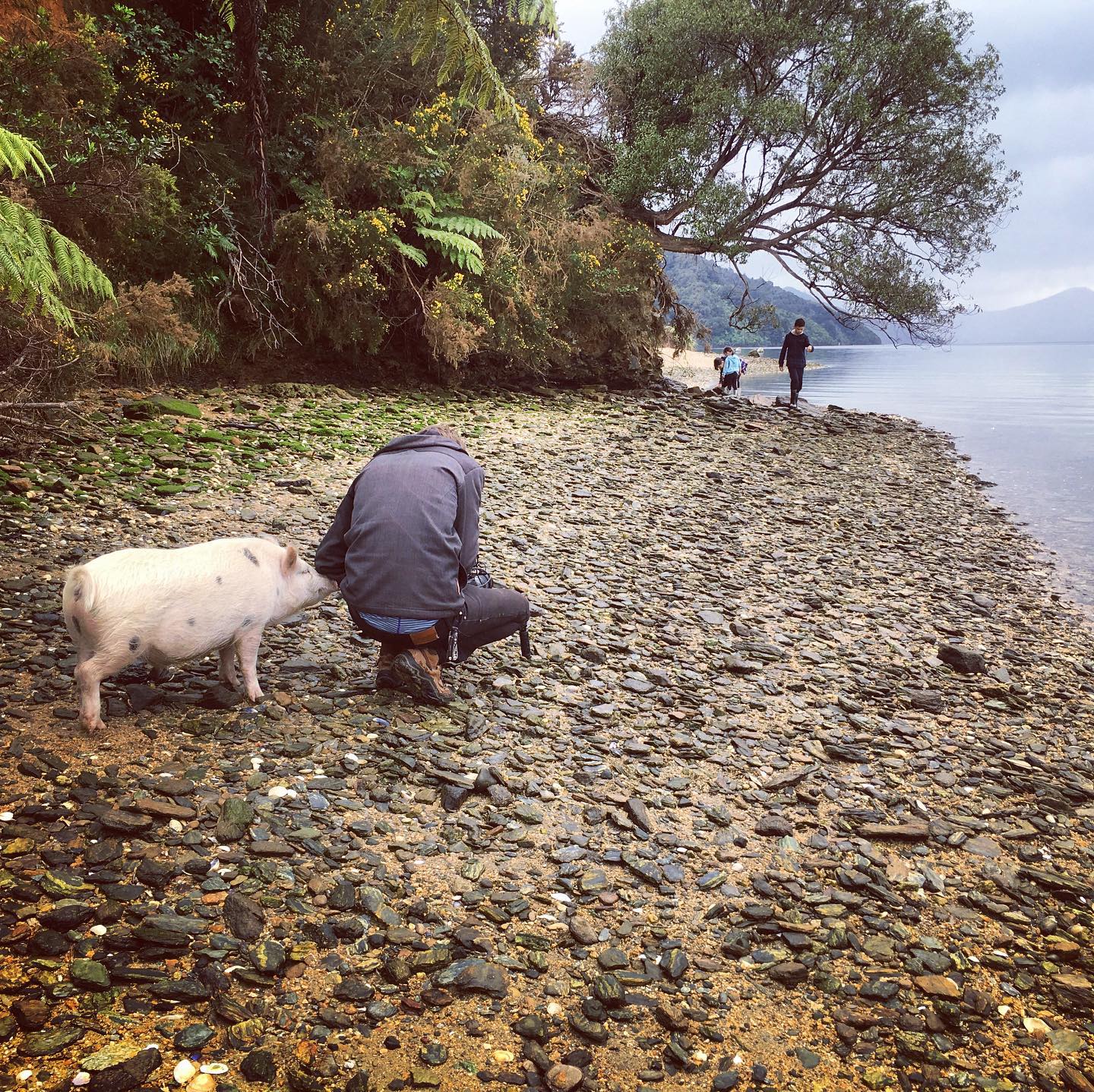 It’s hard to find a good camera assistant #1stac in the #malbroughsounds lucky for me Boris was on hand to help.