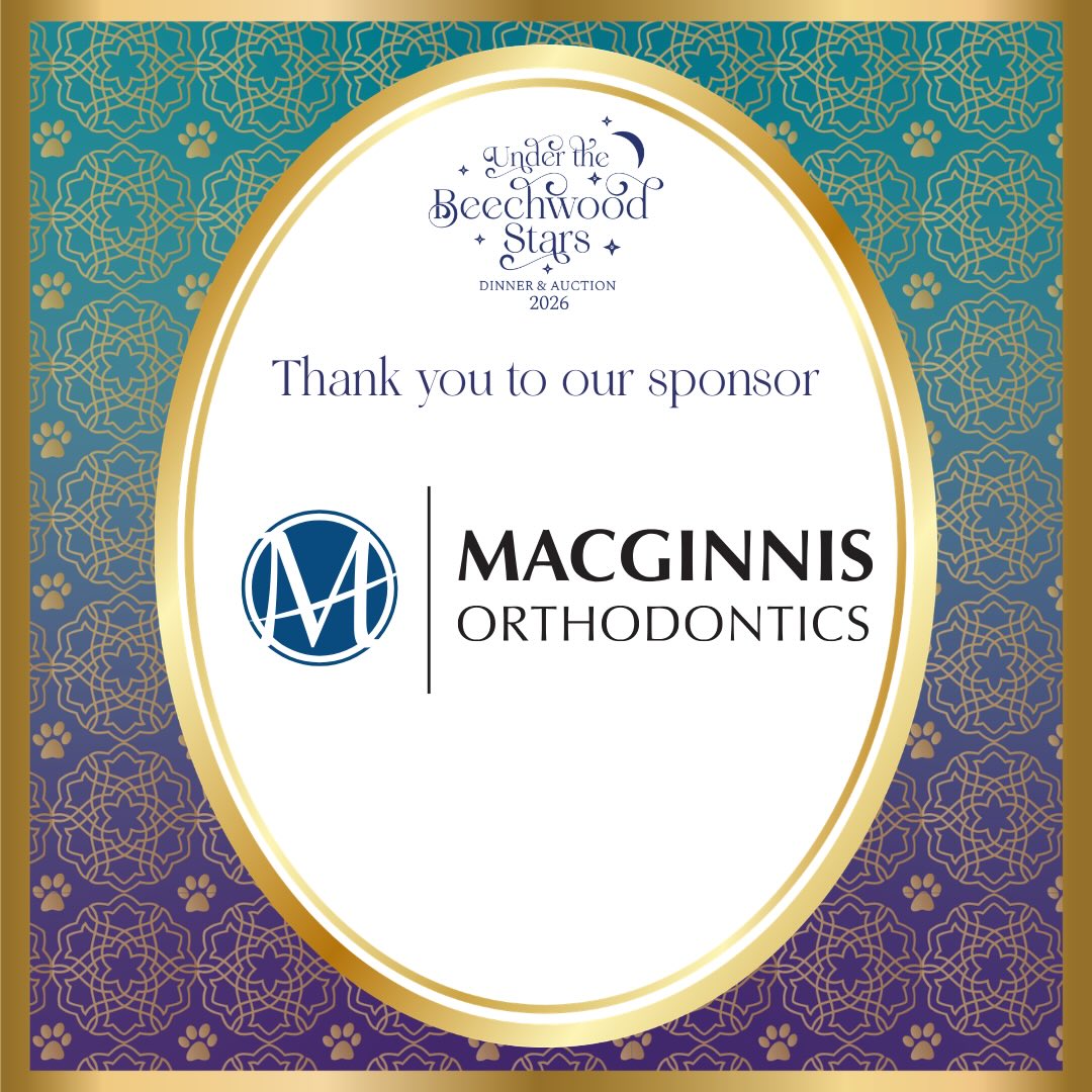 Dr. Matthew MacGinnis is a board-certified orthodontist located in Fullerton. At MacGinnis Orthodontics, their mission is to create beautiful, healthy smiles that last a lifetime. They design treatment plans tailored to your unique teeth and deliver an experience that truly stands out. To learn more visit: https://orthodontistfullerton.com