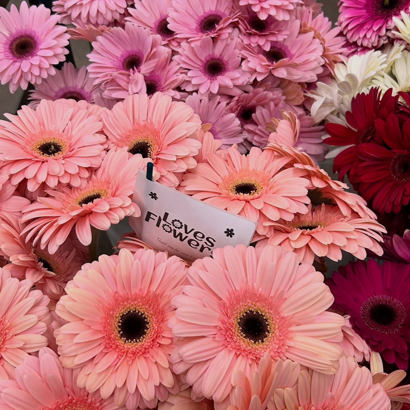 We’re still recovering from last week 💝🌸🌷 Thank you to everyone who ordered, where would we be without all of you 🌷🌸🩷💝