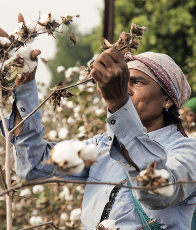 A woman at work in the cotton fields; Cultivating the finest raw materials with sustainable practices.
Because great products begin with the perfect raw materials.
#CompassTex #compasstexpeople #FashionInnovation #TraditionMeetsModern #creative #PeopleBehindTheProduct #TextileCraftsmanship #TrustedPartners #HumanTouch #TextileTeamwork #FromPeopleForPeople #FacesOfProduction #TeamCompasstex #EmpoweringMakers #WorkersMatter #MadeWithHeart