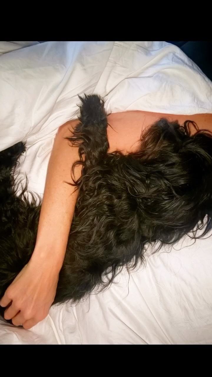 ♥️
.
.
.
.
.
#AdoptDontShop #RescueDog #Summer