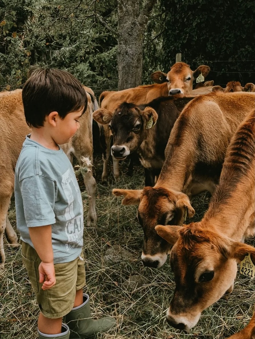 Estos días ricos de verano nos dan ganas de disfrutarlos con experiencias únicas en la naturaleza y qué mejor que en el campo.
Horarios tour guiados todos los días
10:30-12:00-14:00-15:30 y 17:00hrs
Autocosecha
Lunes a viernes 09:00-19:00 , sábado 11:00-18:00 y domingo 12:00-18:00hrs
Cafetería del campo a la mesa, juegos, manjar, queso, miel, helados y más.