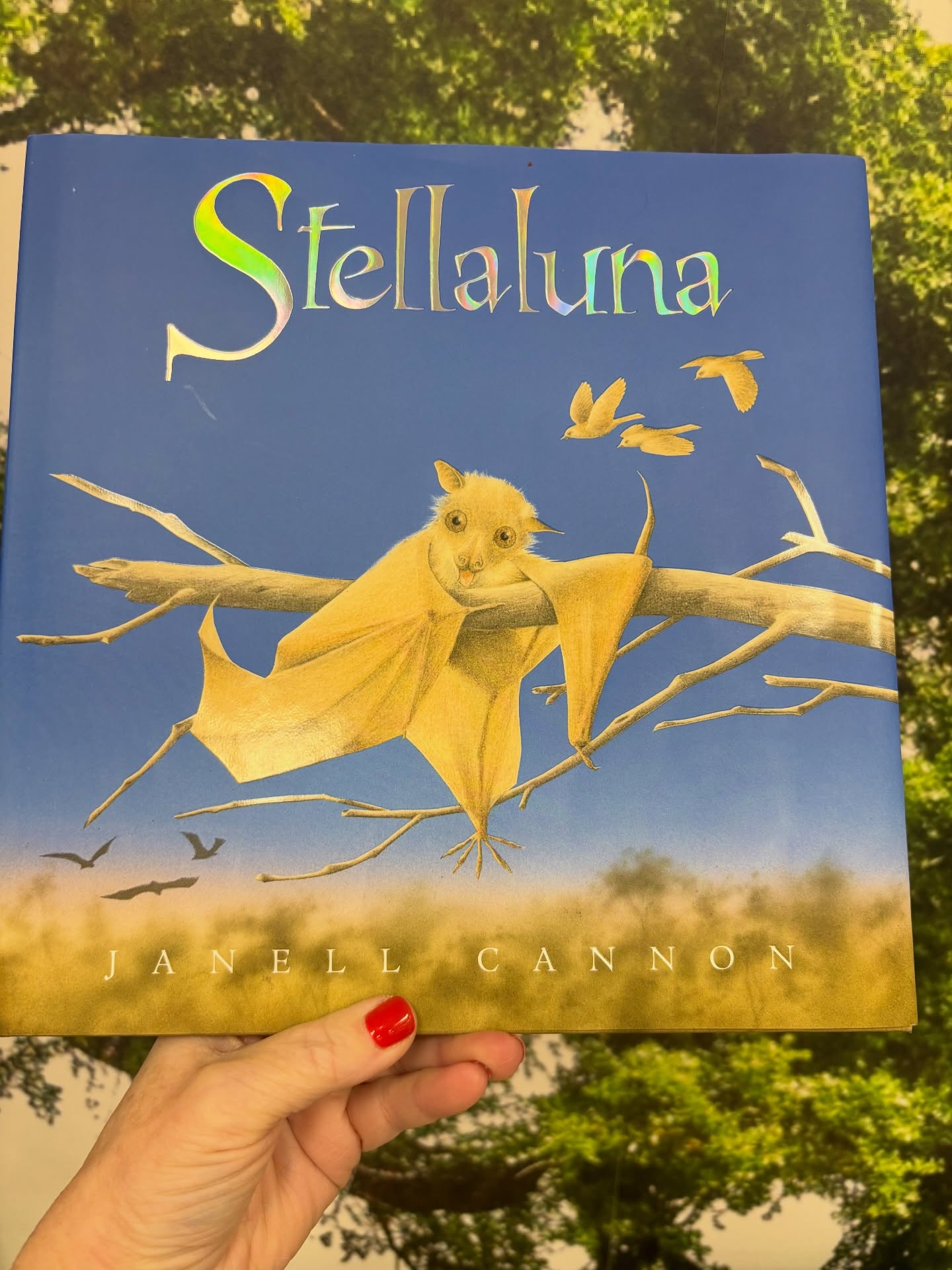 📖📖Children’s Story Time
📅 Saturday at 10:30 am
🌟Special guest reader; one of our favorite customers and retired teacher, Diane will share the classic “Stellaluna” (heard she is bringing a special interactive element 🤩🤩)
🩷🦉See you in The Roost! (Children’s section)
#storytime #childrensbook #independentbookshop #downtownoakpark