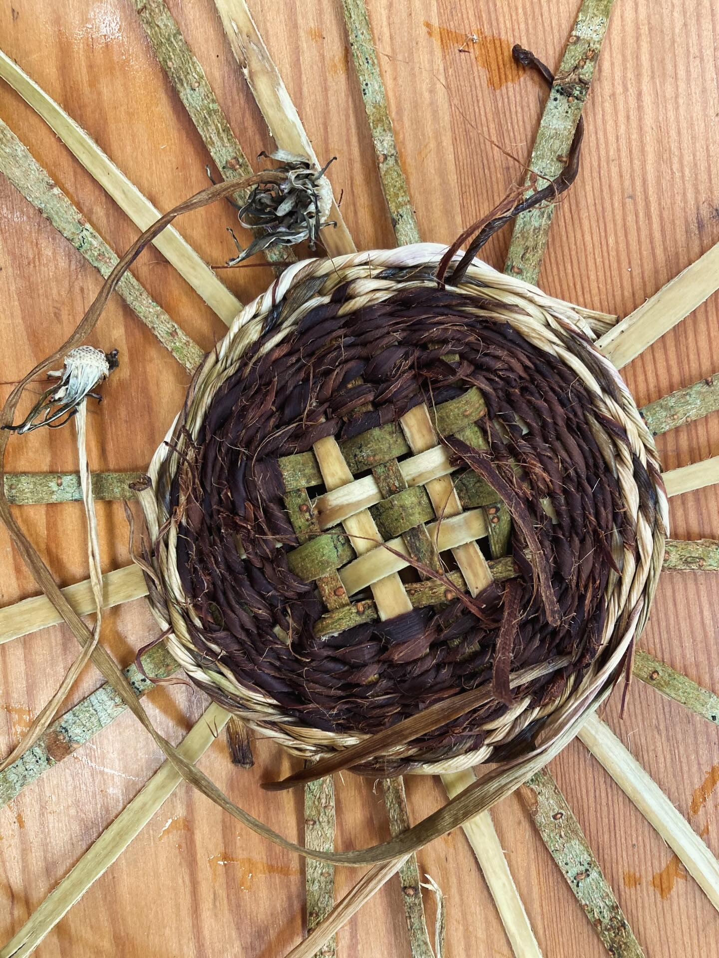 I am delighted to announce a new date for my Rush and foraged materials foraging basket course @potager_garden 4th & 5th July 2026. This immersive and experiencial weekend course will empower you to forage and make from your immediate environment. We will be using rush alongside bark, grasses and other foraged materials.
You will leave having made your own foraging basket as well as having learnt a range of basketry techniques, how to make cordage and how to forage for your own materials. Spaces are limited to 6 spots to keep the space fpr quality teaching. This will be the only basketry workshop I run this year so do get in touch if you’d like to find out more
