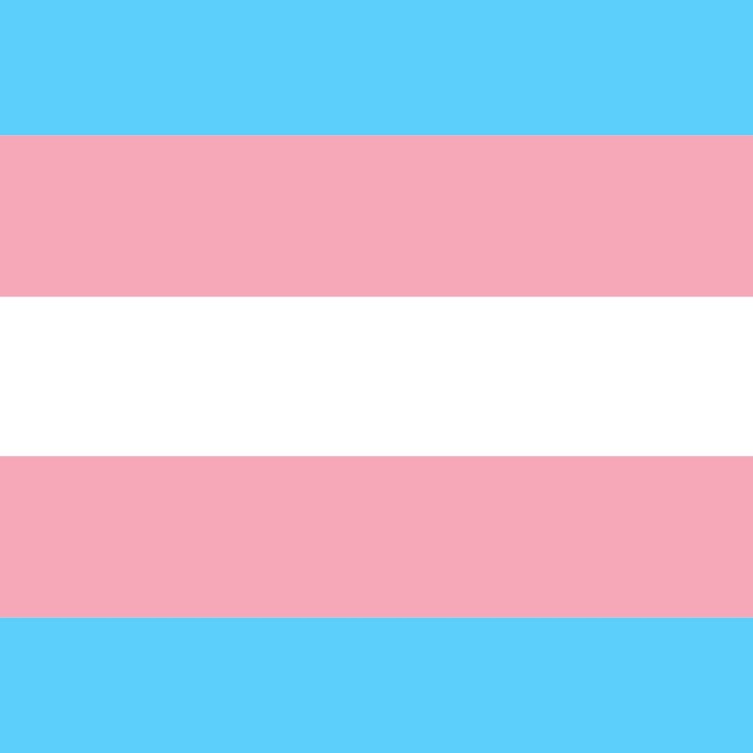 Each year on March 31, we honor International Transgender Day of Visibility, a time to celebrate transgender and non-binary individuals around the world and acknowledge the courage it takes to live openly and authentically. We are sharing the transgender flag today to do our part in raising awareness around discrimination and violence that trans people face.
We are proud to say that we are a Mountain Pride Connections Safe Zone!