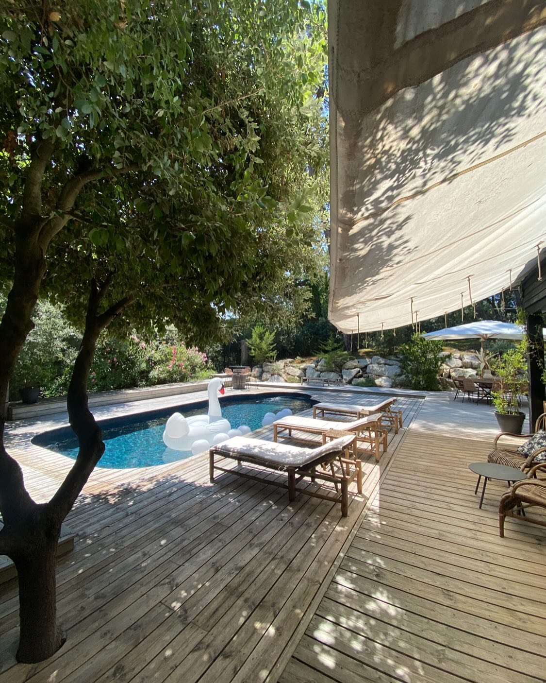 www.mavillaauferret.com
#travel #nature #christmas #sun #capferret #location
