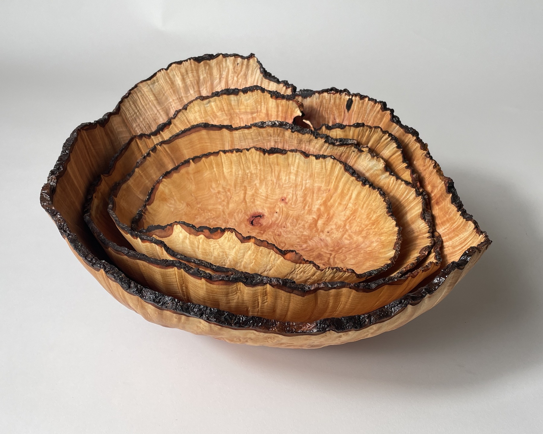 A set of 4 Arbutus burl bowls, each with 3 carved feet. Turned green and wet sanded then dried for a few days in the shop fridge and another week on the bench. Finished with tung oil, the largest measures 13" X 11" x7" and the smallest measures 8.5" X 5.5" X 3.5"
#arbutus #penderisland #penderislandbc #woodturning