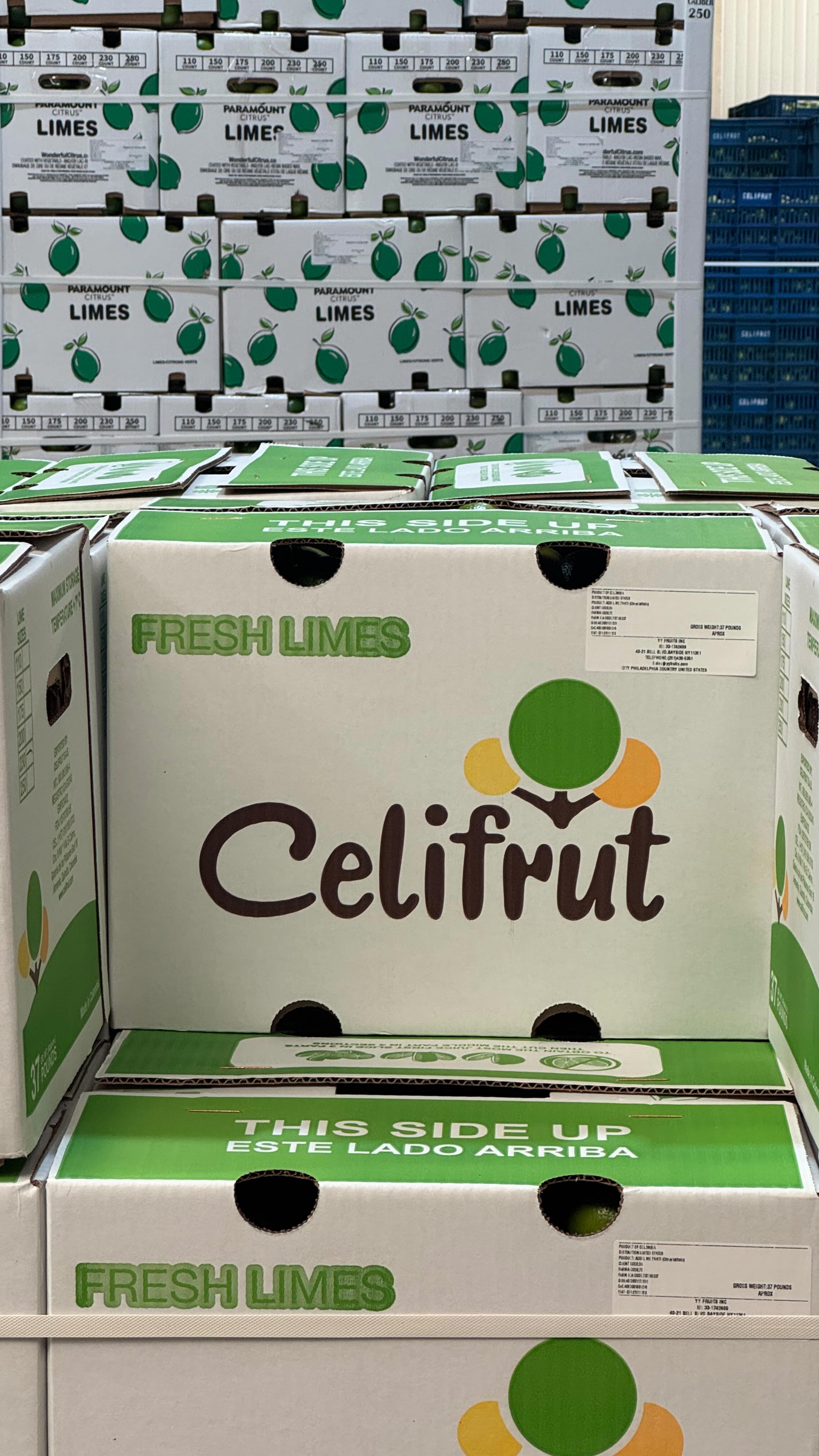 📣 ¡Estamos contratando en Celifrut!
Seguimos creciendo y abrimos nuevas oportunidades laborales en Armenia, Quindío para talento que quiera hacer parte de una empresa del sector agroindustrial en expansión.
Vacantes disponibles:
• Ejecutivo Comercial
• Director Administrativo y Comercial
• Supervisor de Producción
• Contador
• Coordinador de Transporte
Buscamos personas con experiencia, compromiso y ganas de crecer profesionalmente.
📍 Modalidad presencial – Armenia, Quindío
📩 Envía tu hoja de vida a: talentohumano@celifrut.com
✉️ Indica en el asunto la vacante a la que aplicas.
Comparte esta oportunidad con quien la necesite.