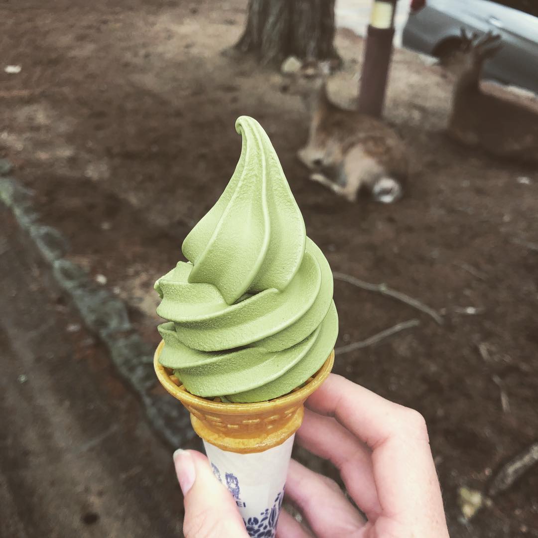Another flash back to my recent Japan trip, where more than one matcha soft serve was consumed. Everything in moderation and enjoyment 😍🇯🇵
PS: this is very hard to reminisce on when it is currently 7 degrees outside ⛄️