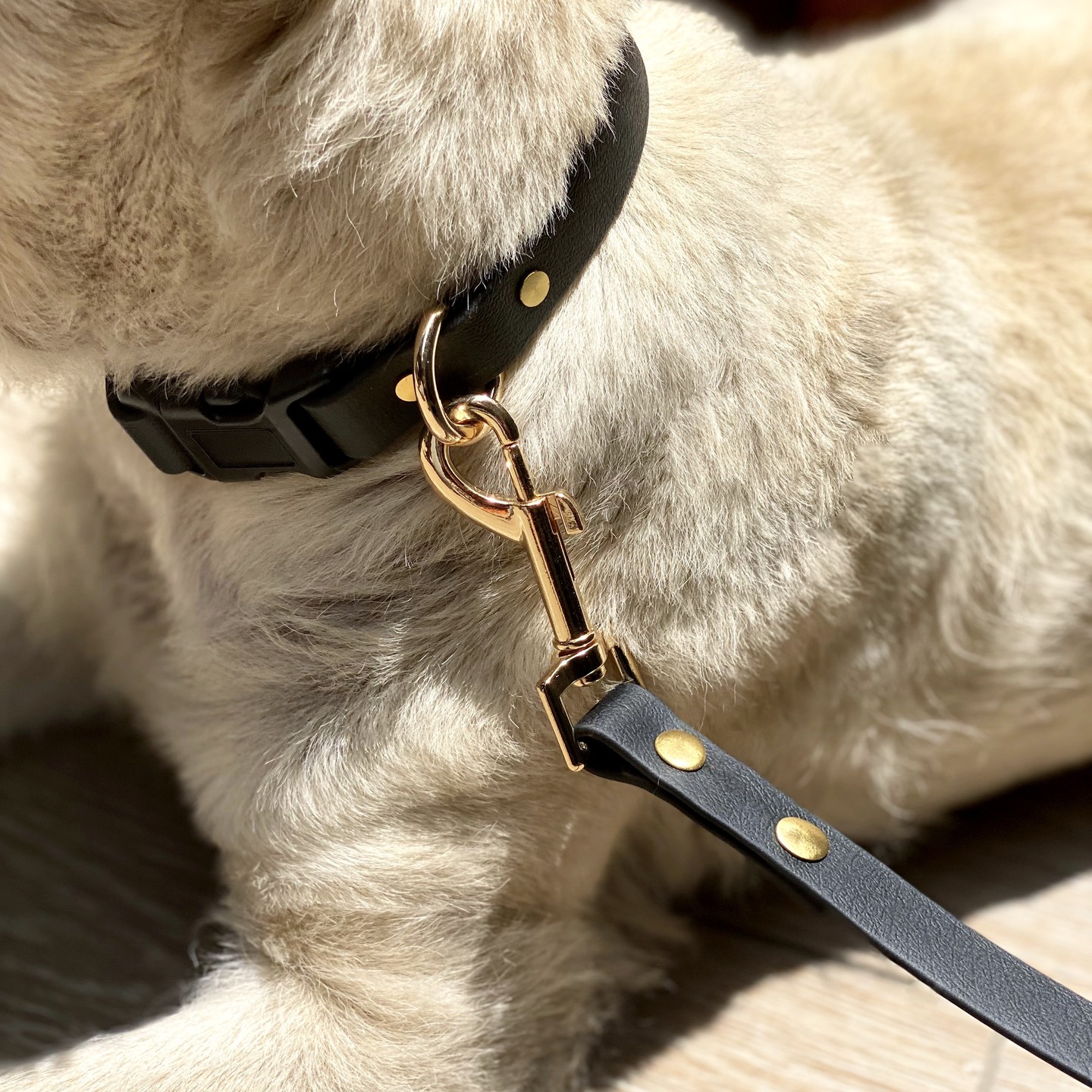 Our most popular leash and collar, modeled by the dapper Adonis himself. π€β¨
Handmade with care and designed for elegance, our black collar and leash with gold hardware bring a touch of sophistication to every walk. Whether you're strolling through the park or enjoying a chic cafe, Adonis Barks ensures your pup steps out in style.
#AdonisBarks #HandmadeWithLove #DogAccessories #ChicDogGear #CairnTerrier #DogStyle #dog #dogs